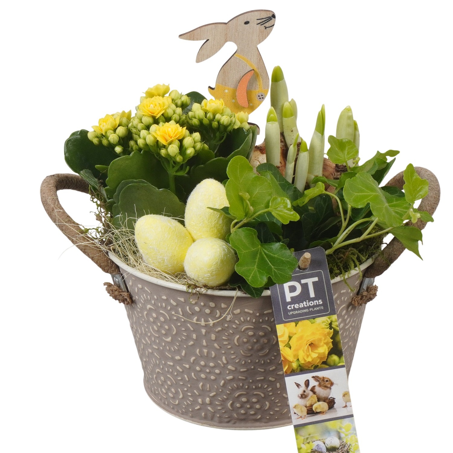 PTPB6446 Arrangement Easter in zink pot, D 15