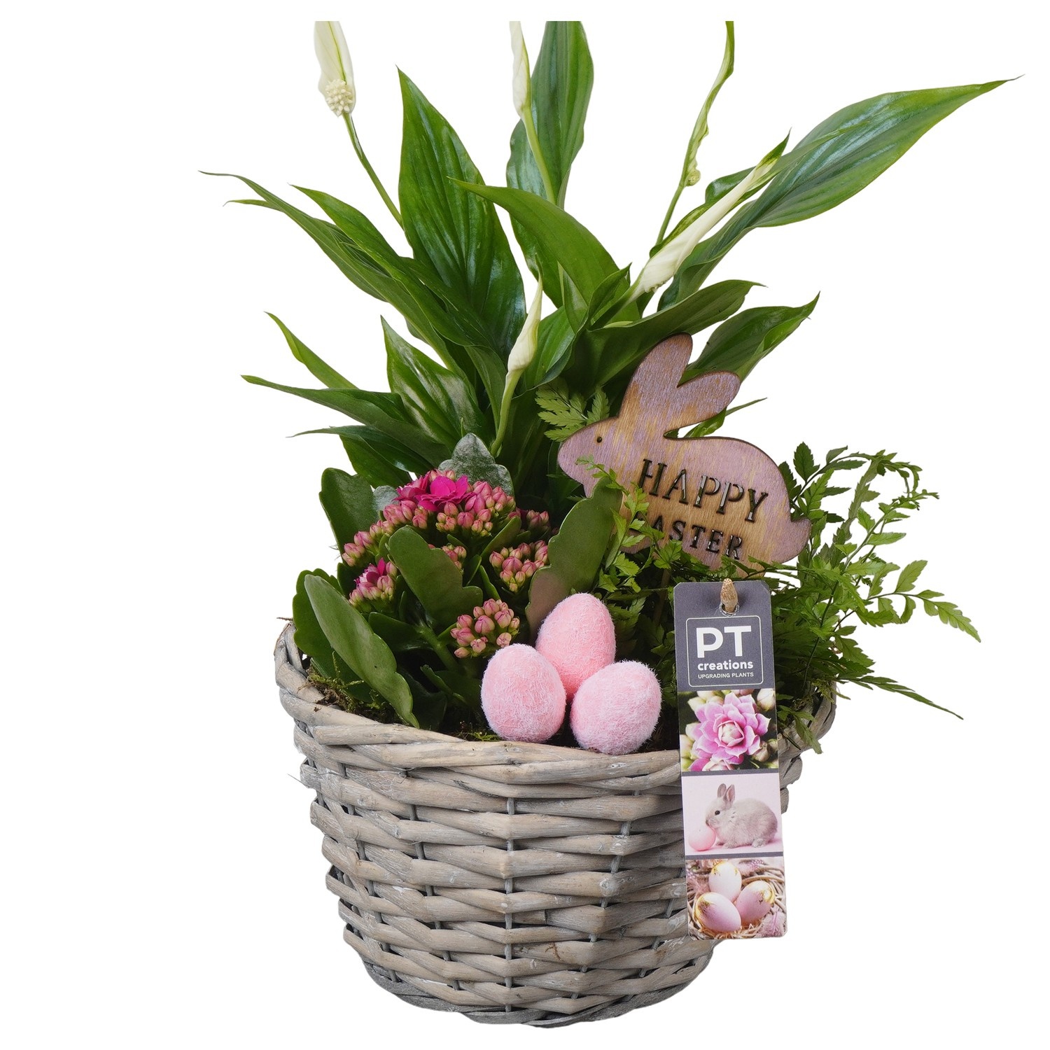 PTPB6564 Arrangement Easter in rieten mand, D 18