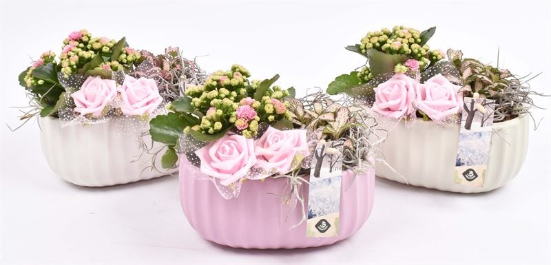 Keramiek ovaal mix kleur 18,5x12cm, D 19