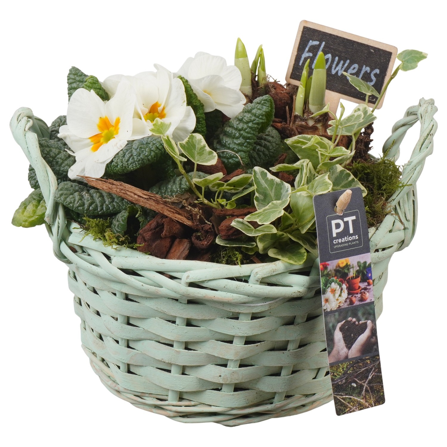 PTBM3855 Arrangement Flower Bulbs Mix in rieten mand, D 20