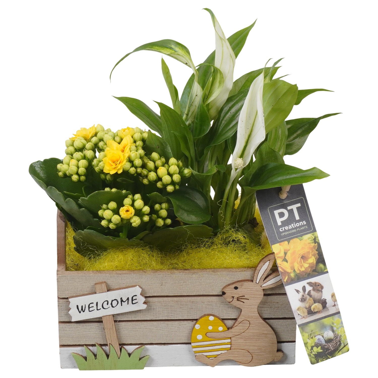 PTPB6580 Arrangement Easter in houten bak, D 15