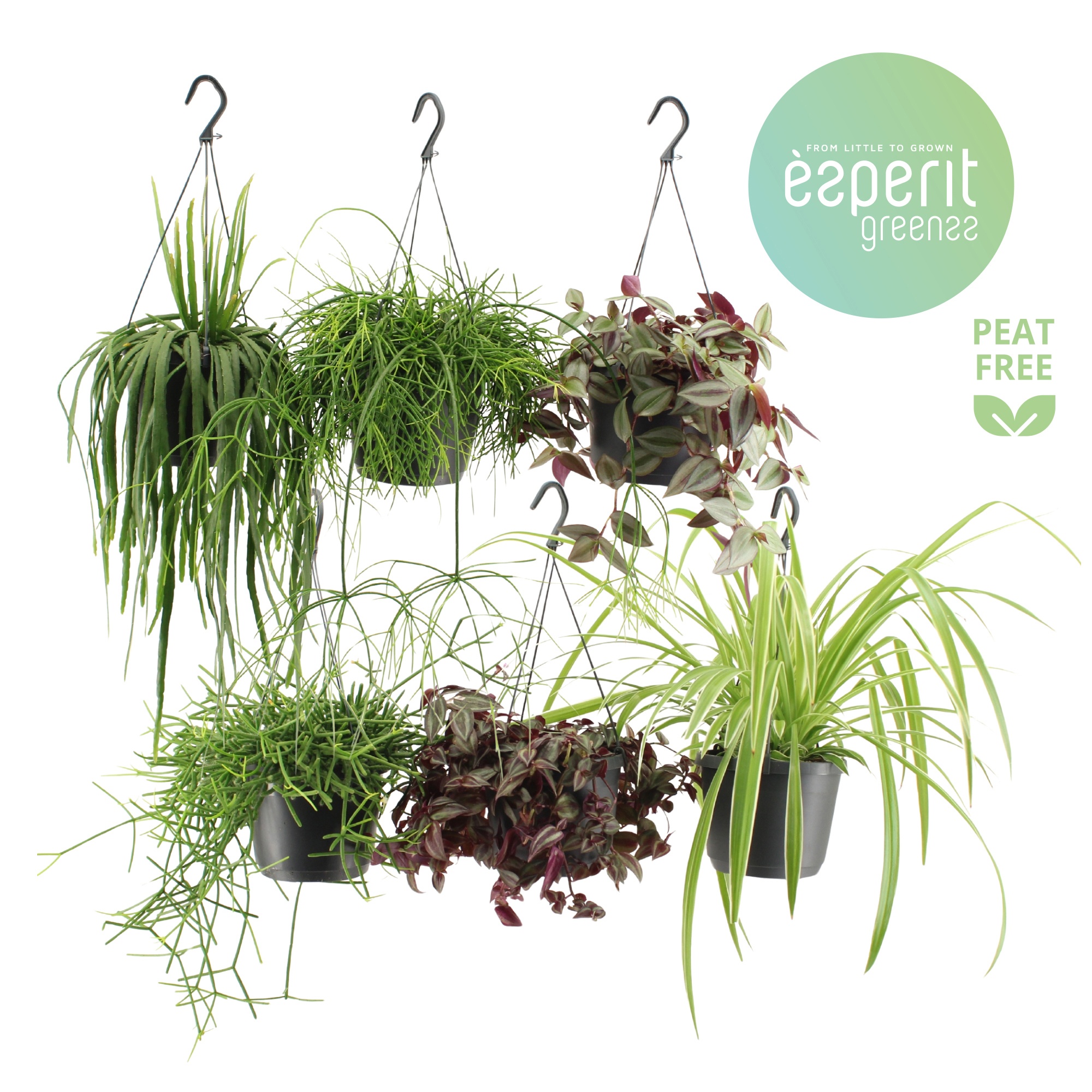 Hangmix Greenss 4 srt. hangpot, D 17