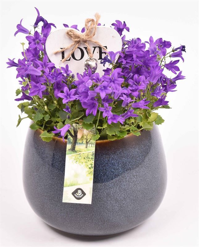 Keramiek bol pot 16.5cm, D 14