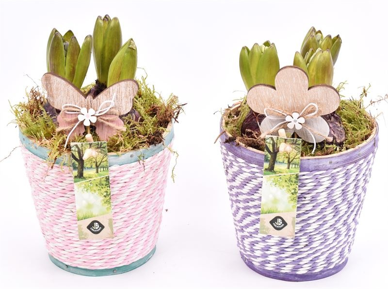 Hout pot paars/roze mix 13cm, D 13