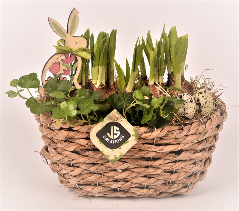 Maisblad gevl. ovaal 24x15cm, D 24