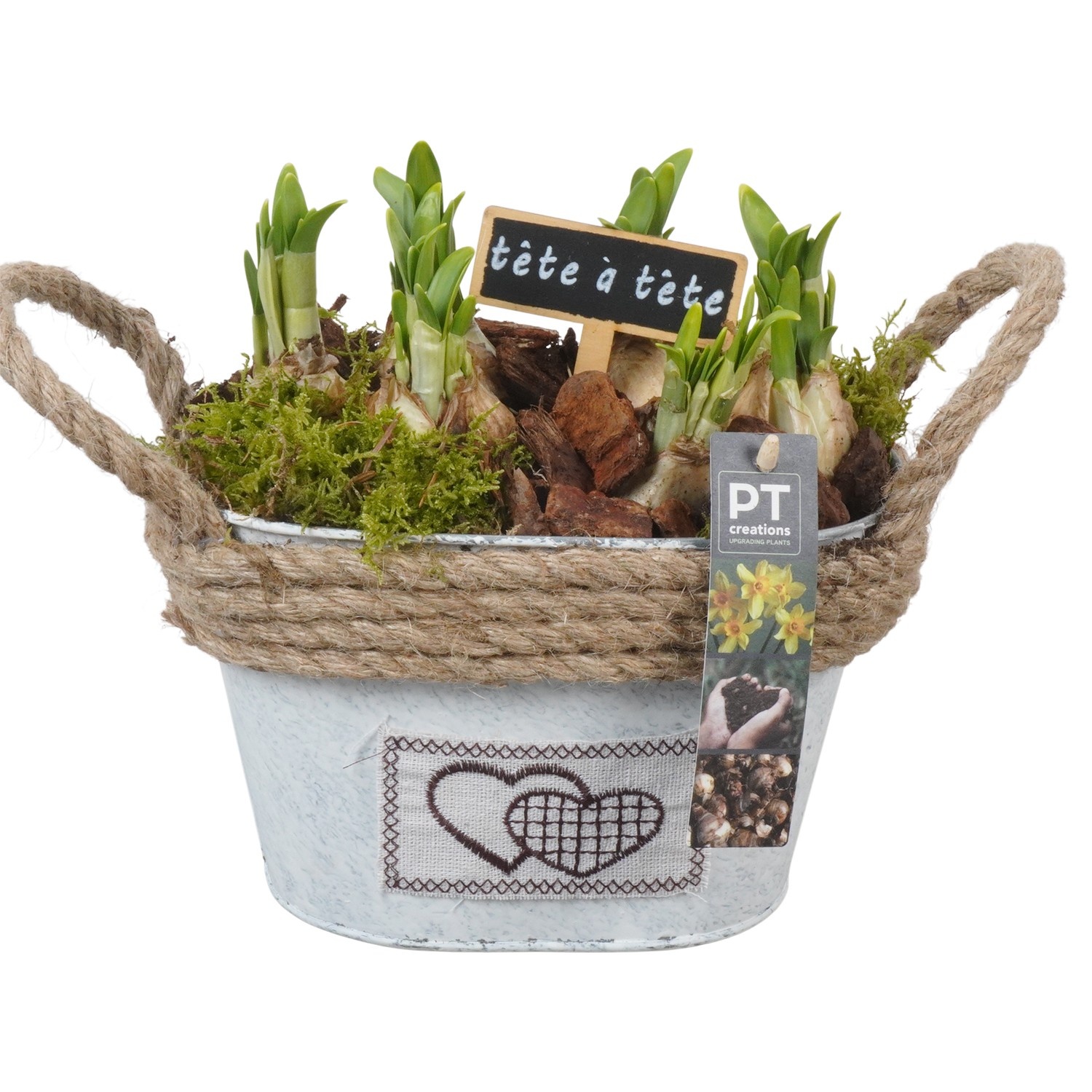 PTN8603 Arrangement Narcissus in zink pot, D 20