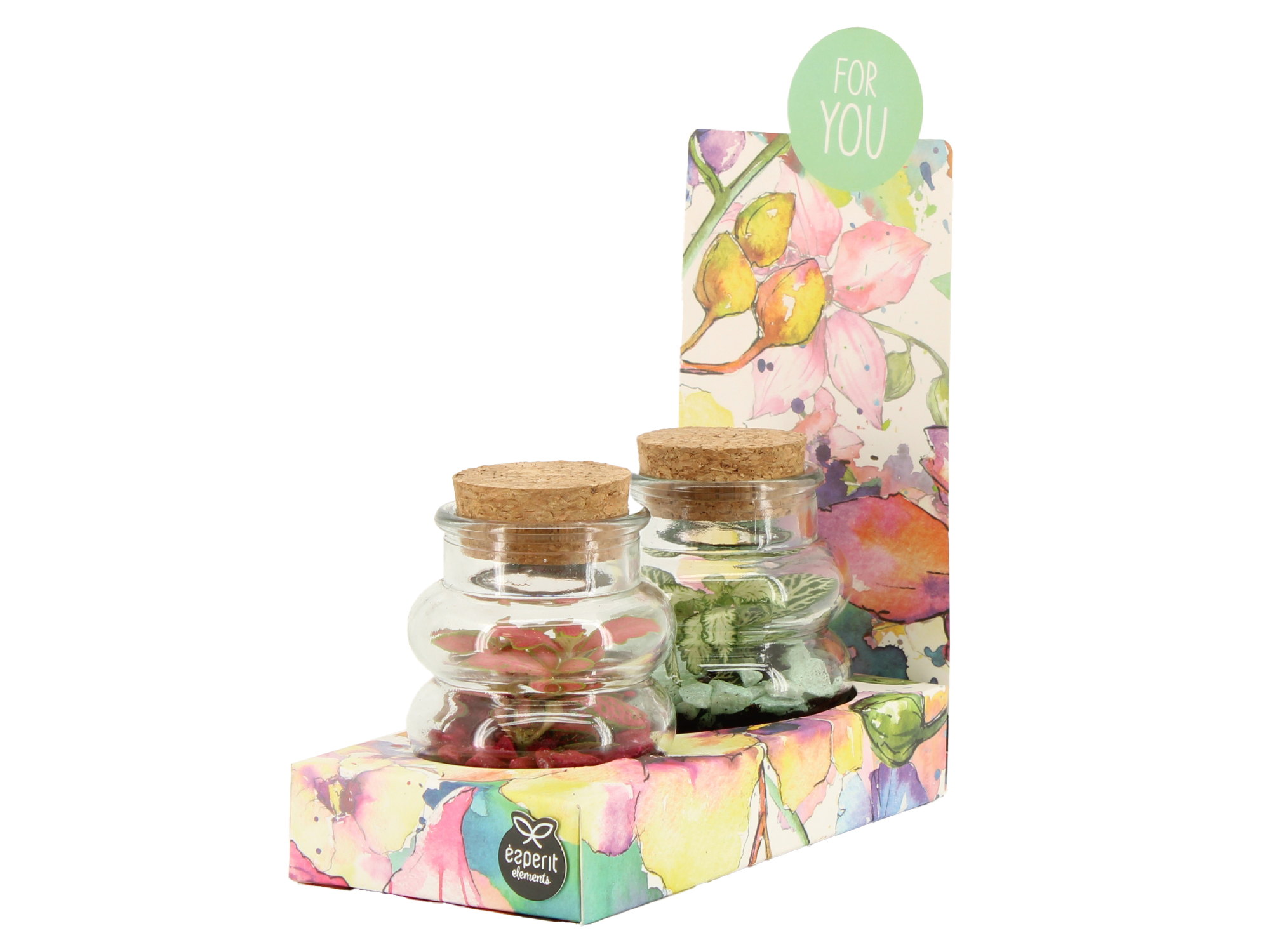 90831: Terrarium arrangement, D 7