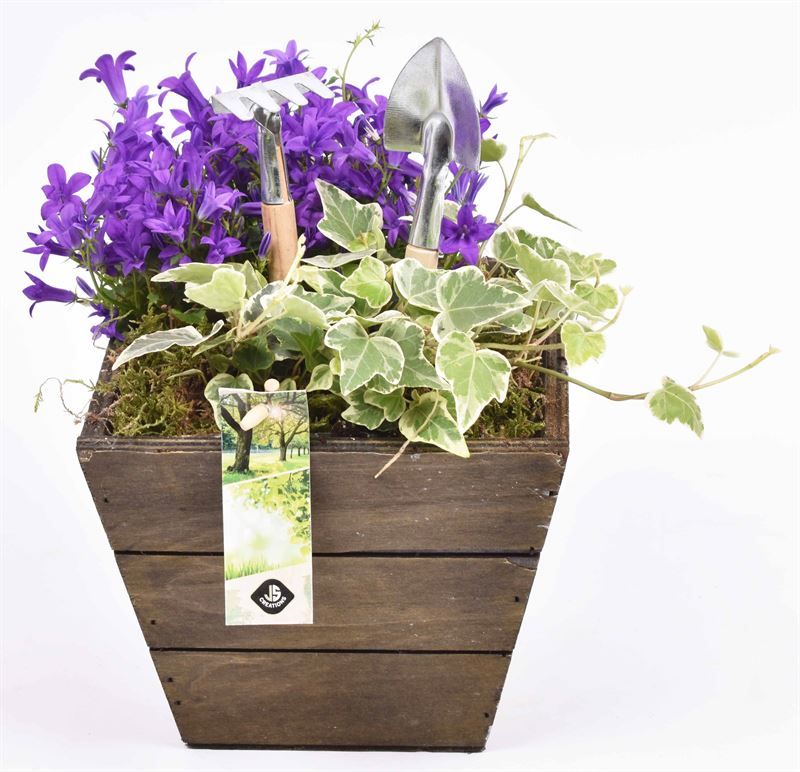 Hout vierkant 17x17, D 18