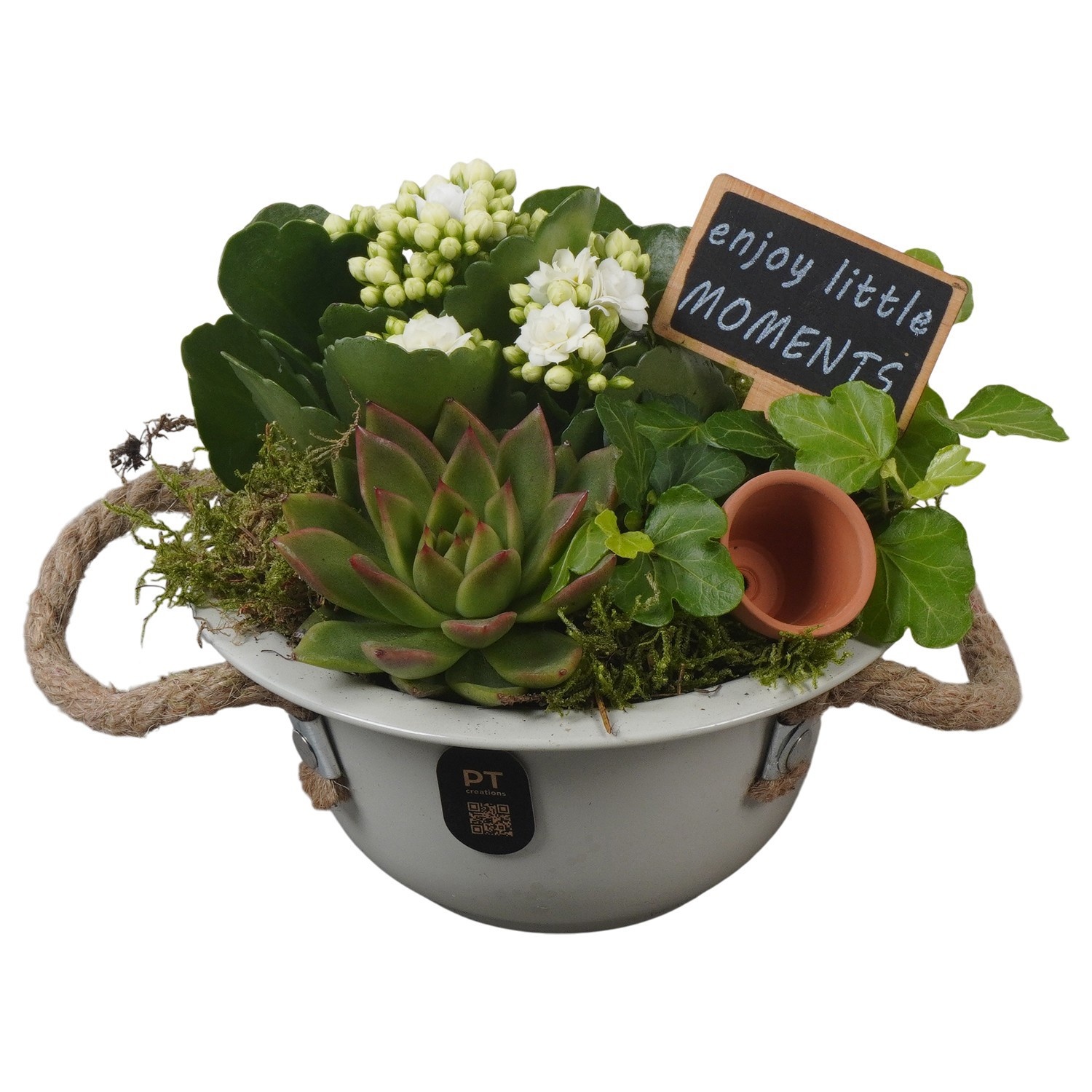 PTIB5315 Arrangement Indoor in metalen schaal, D 16