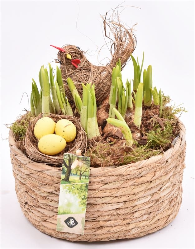 Touwmand laag 19,5cm, D 20