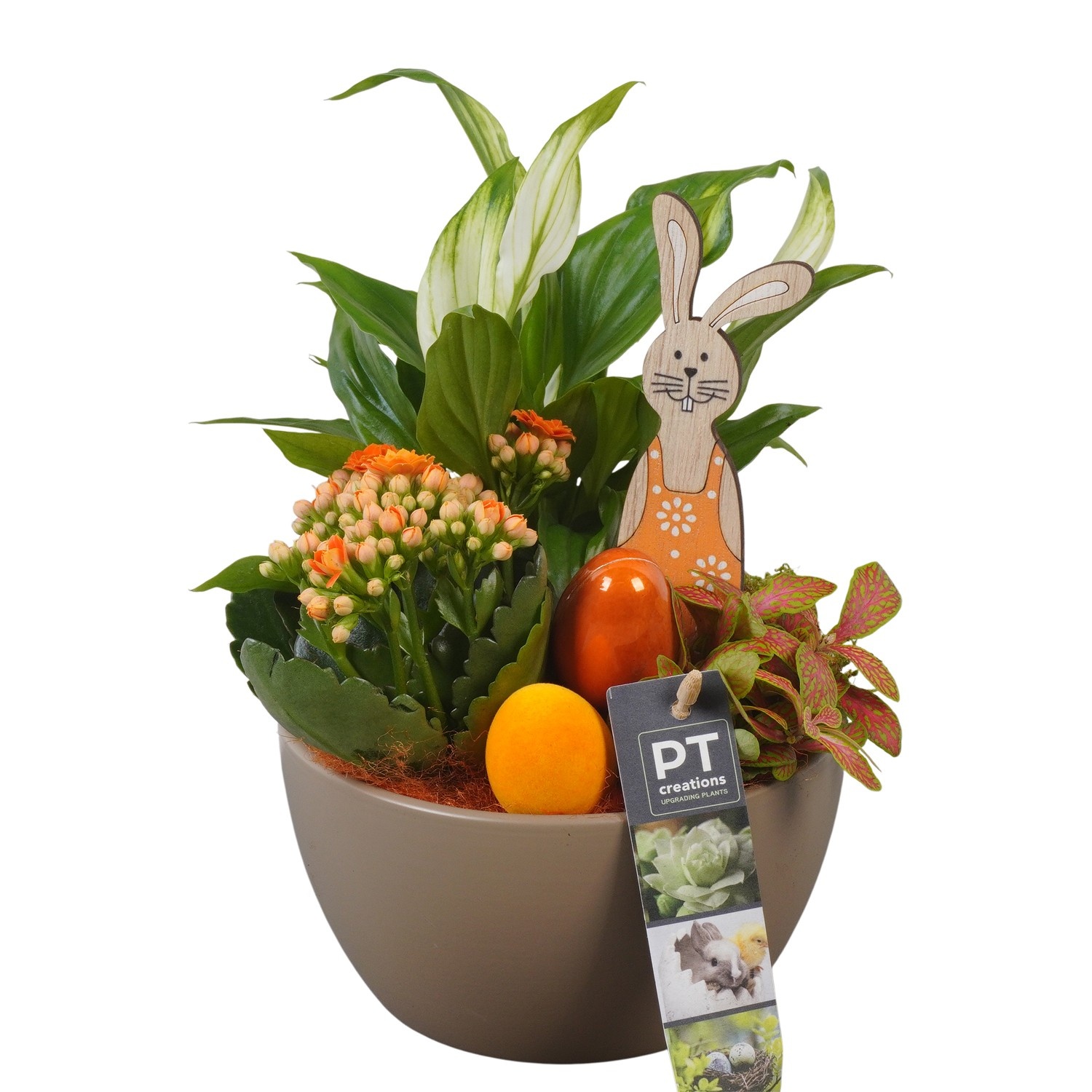 PTPB6527 Arrangement Easter in keramiek schaal, D 16