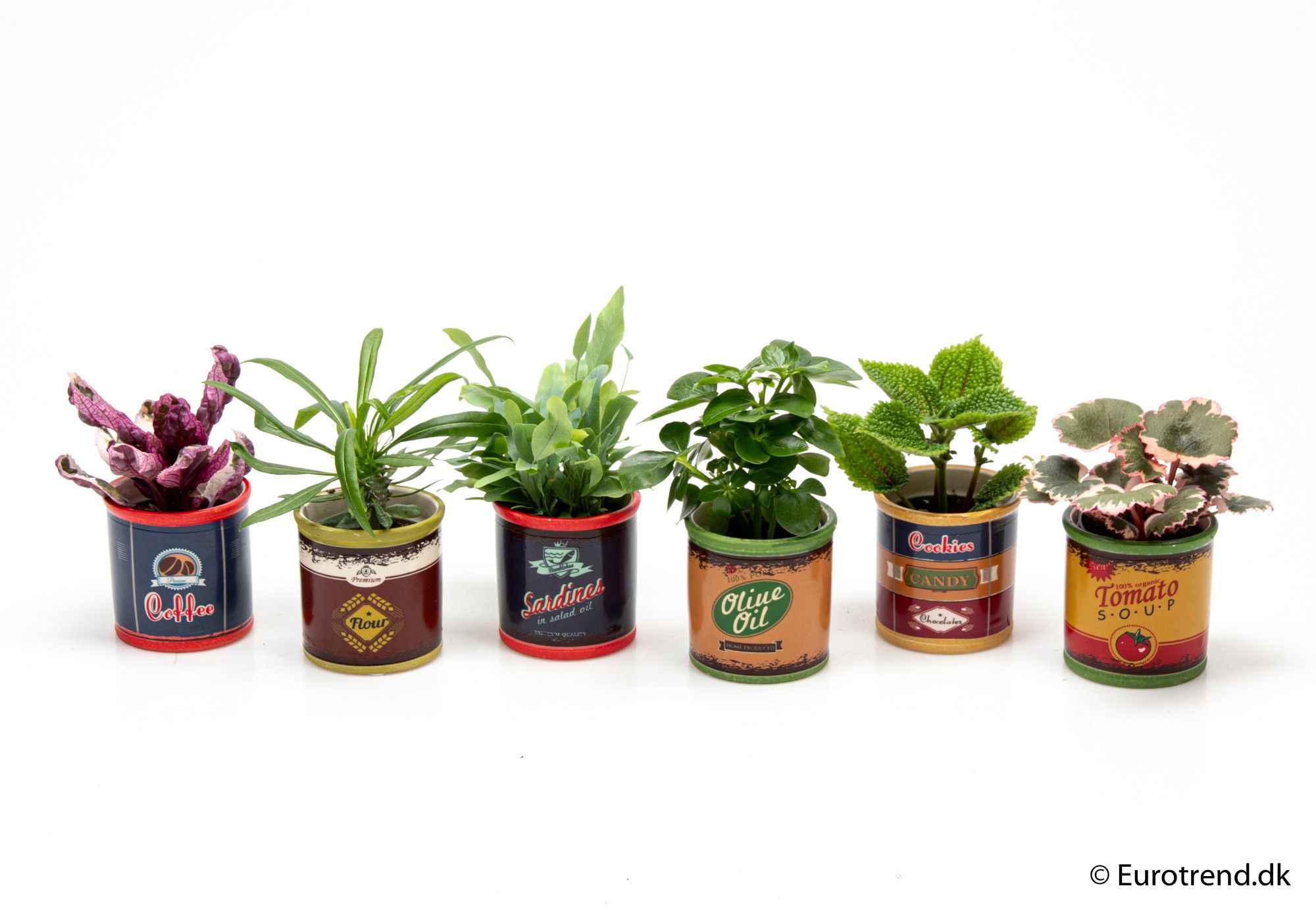 Green mix in ceramic - New Look 2025, D 6