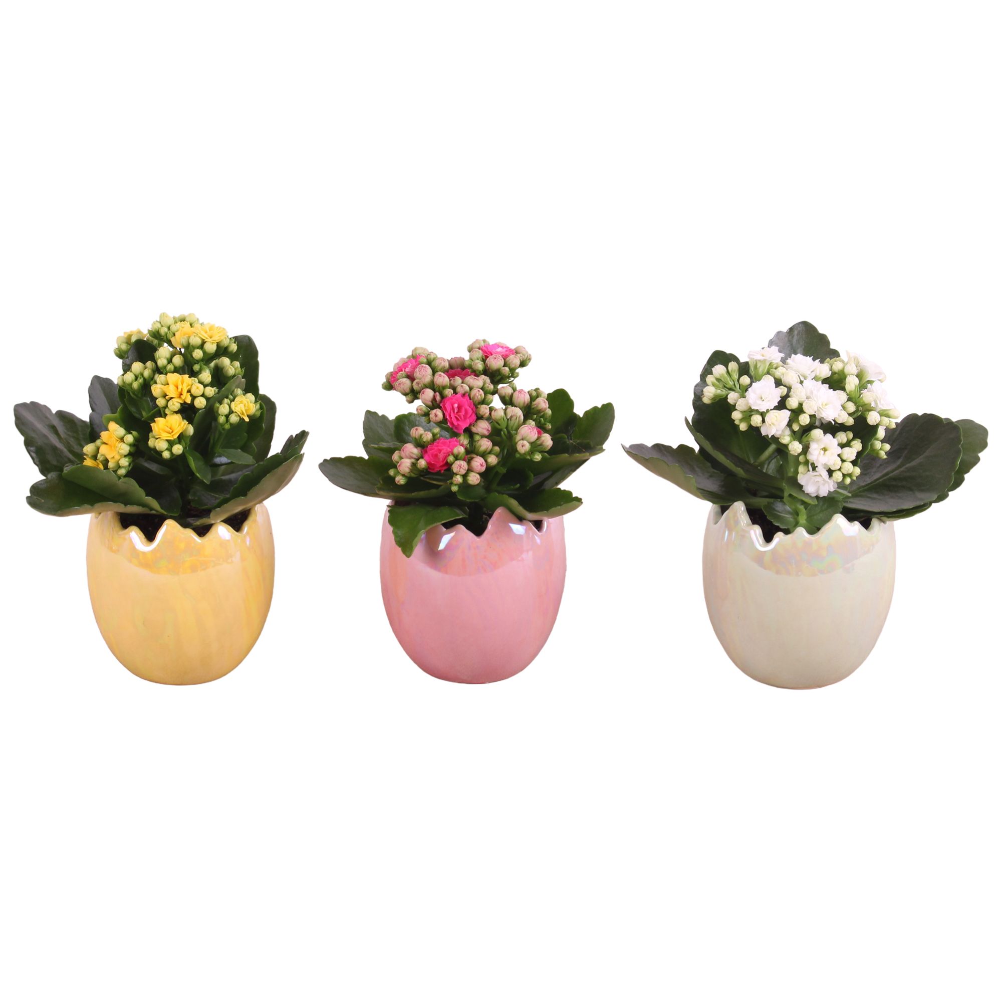 Easter Arr. Indoor Ceramic Egg Pearl Glazed Ø09cm 1PP, D 9