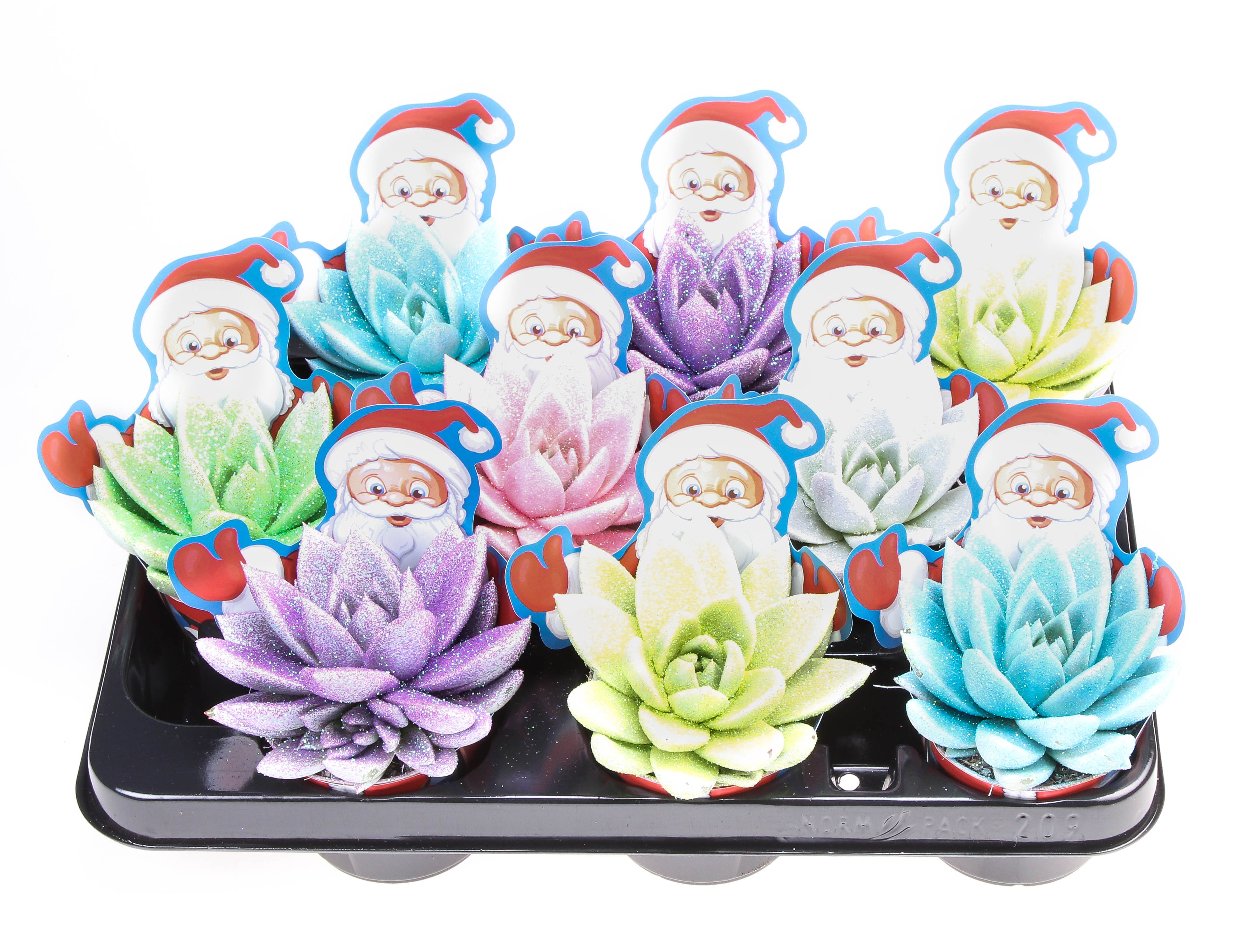 Potcover Santaclaus Wit + Glittermix, D 8,5