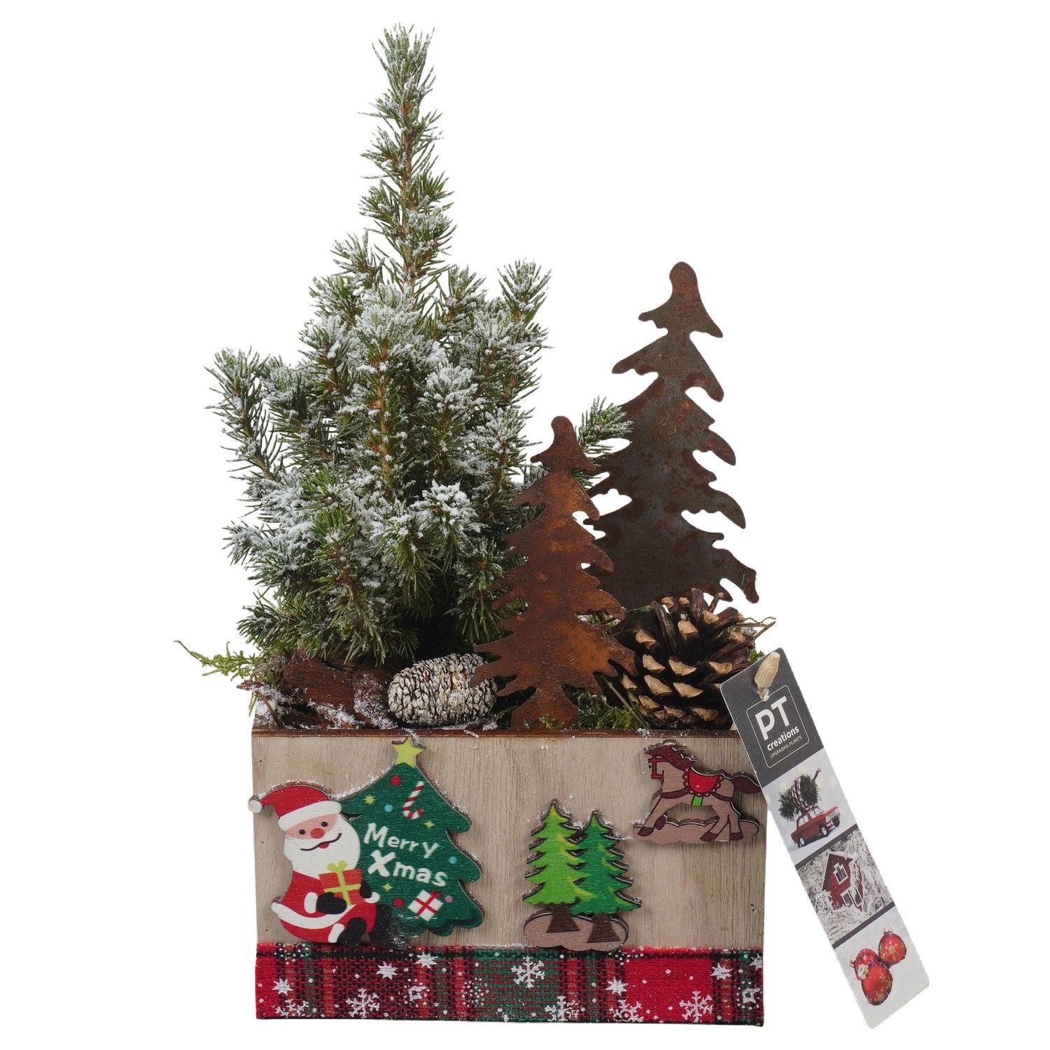 PTCWW6876 Arrangement Winter in houten bak, D 15 cm