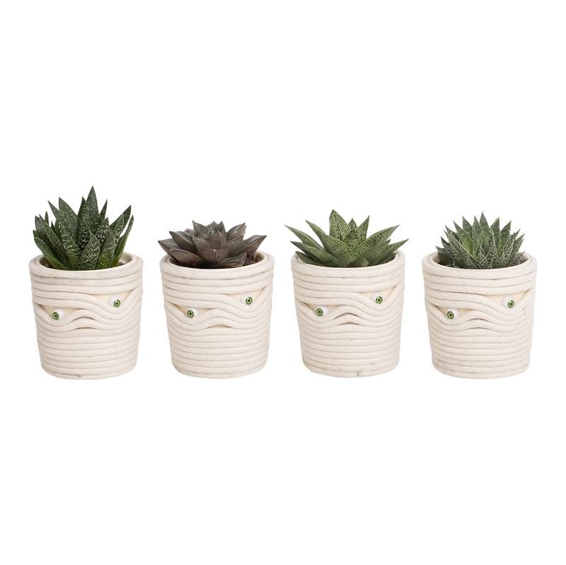 HALLOWEEN CERAMIC 520954 Under Wraps, D 6