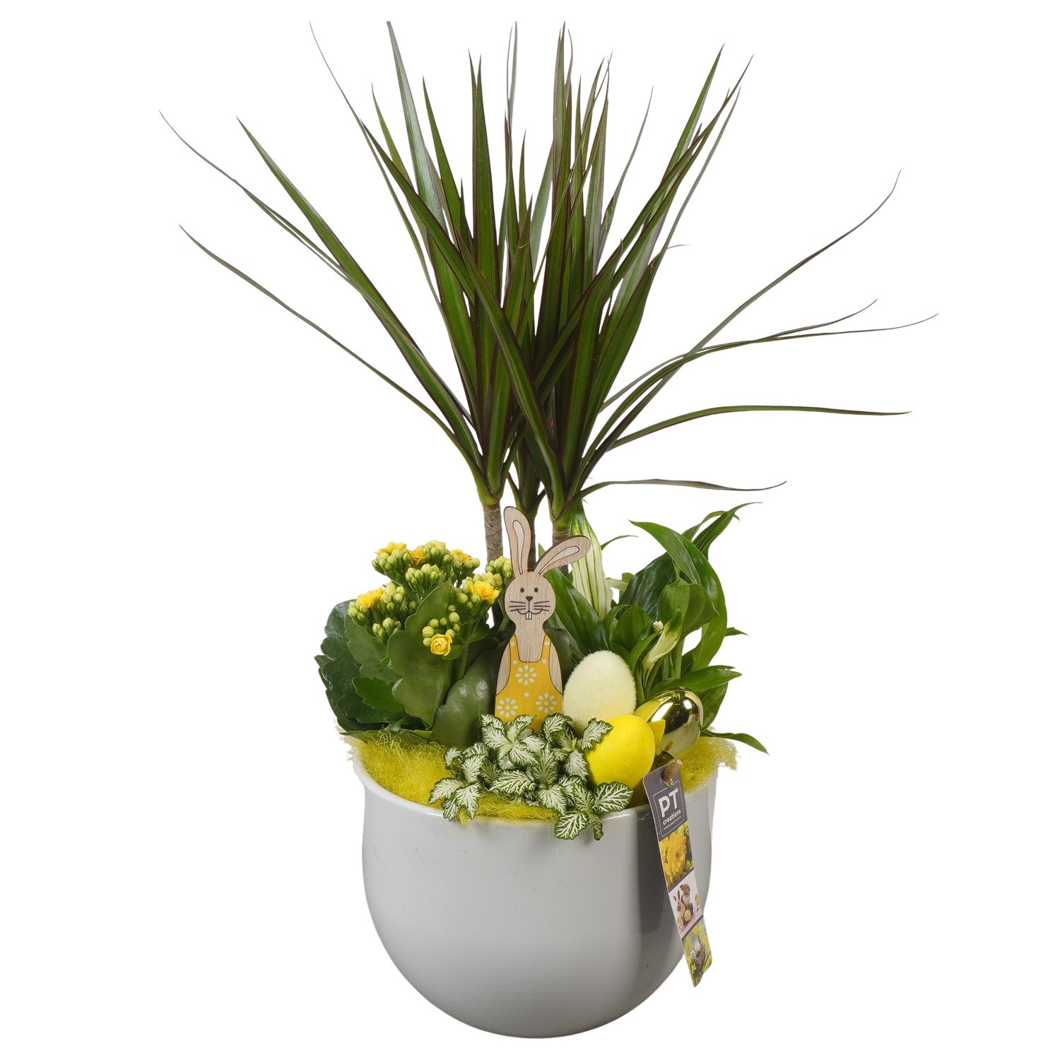 PTPB6535 Arrangement Easter in keramiek pot, D 19