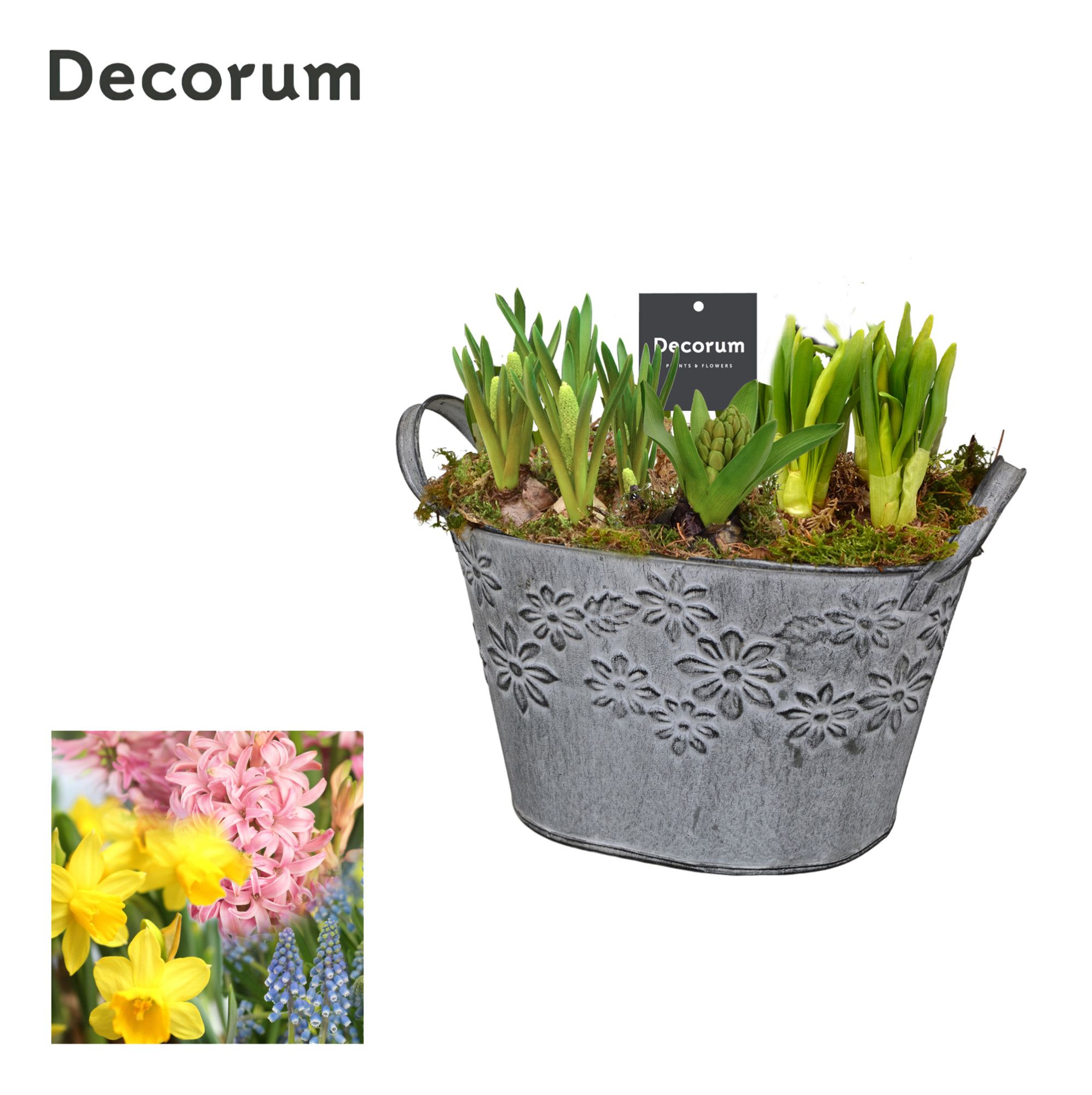 Bollenmix Flower Basket HL12633B, D 21