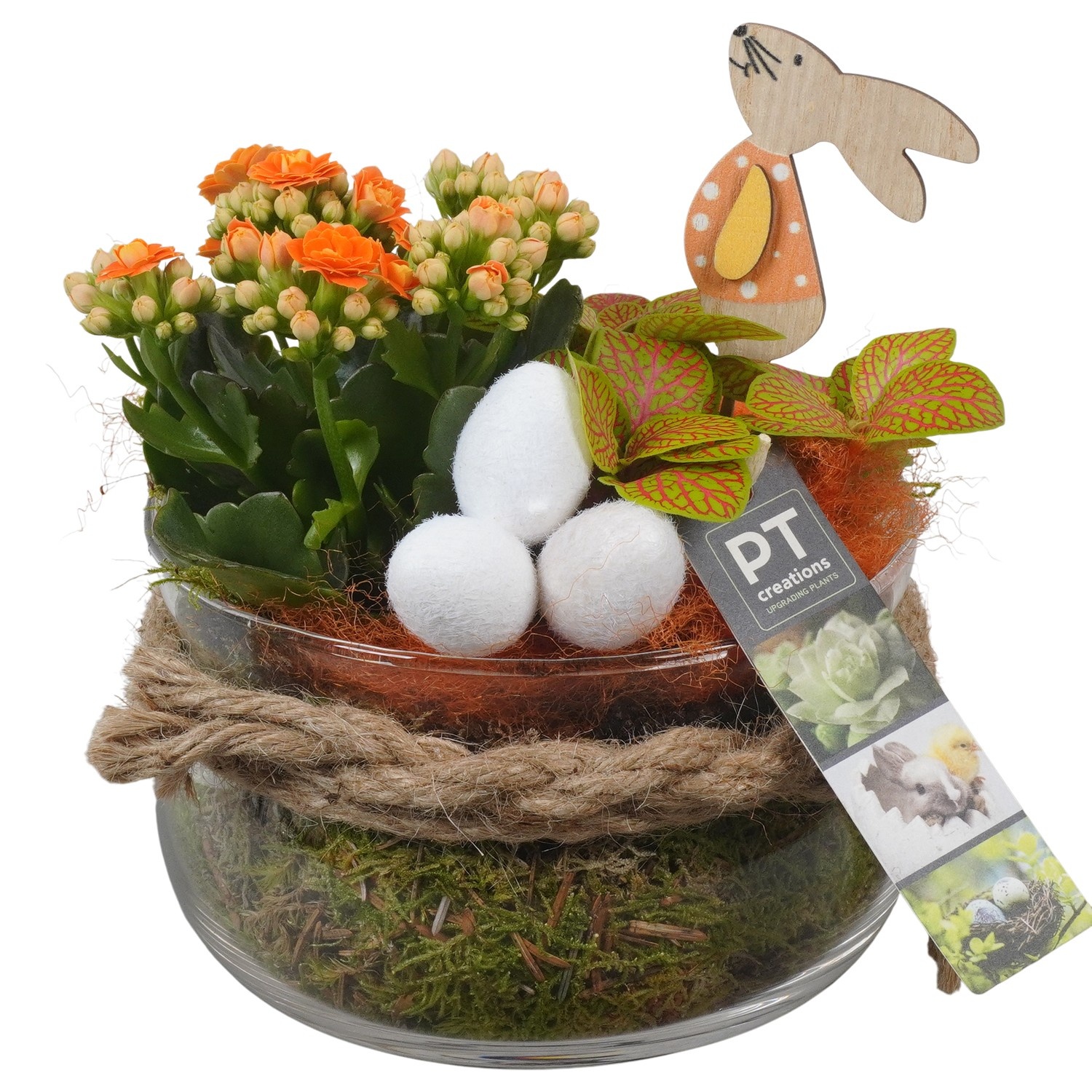 PTPG9302 Arrangement Easter in glasschaal, D 16