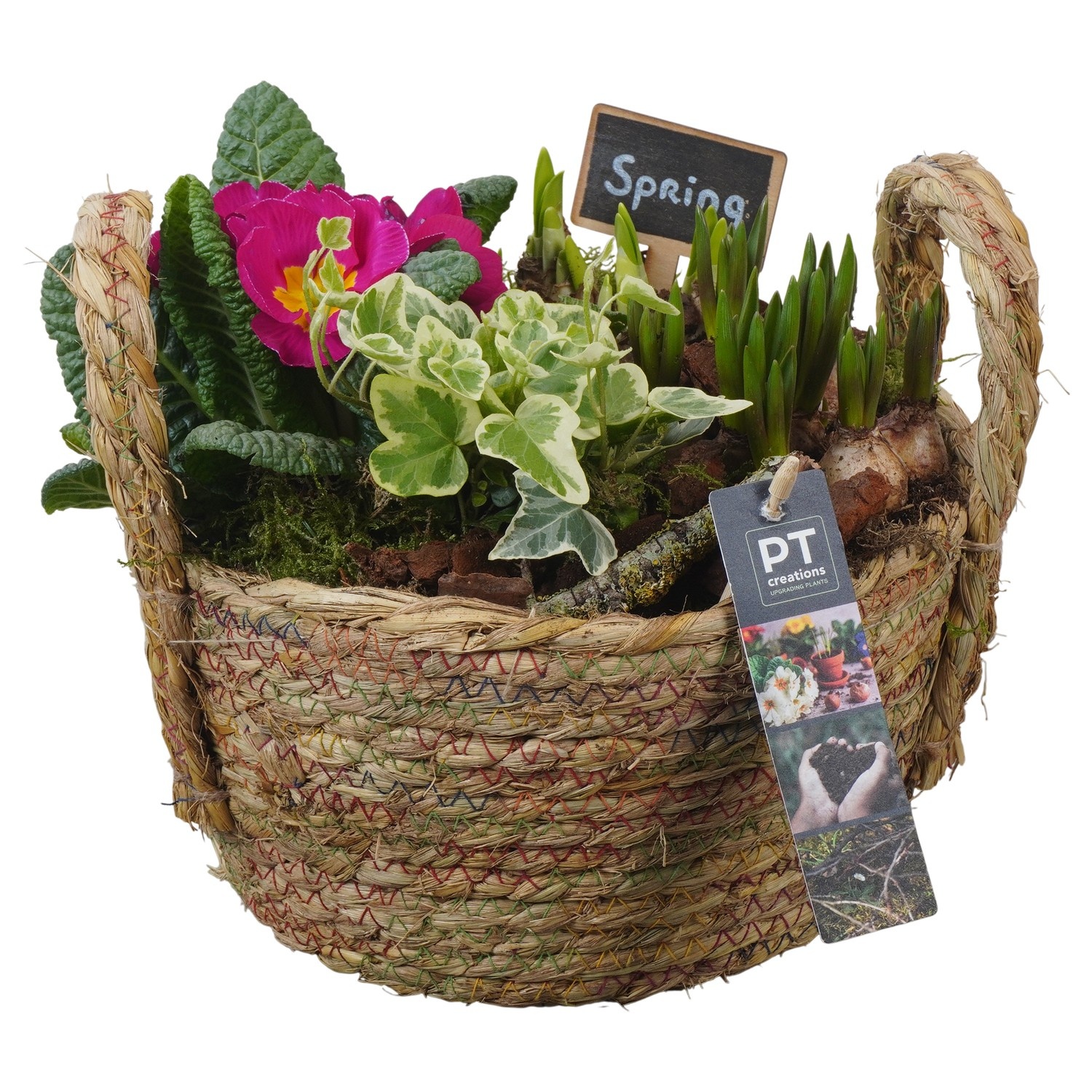 PTBM3810 Arrangement Flower Bulbs Mix in rieten mand, D 22