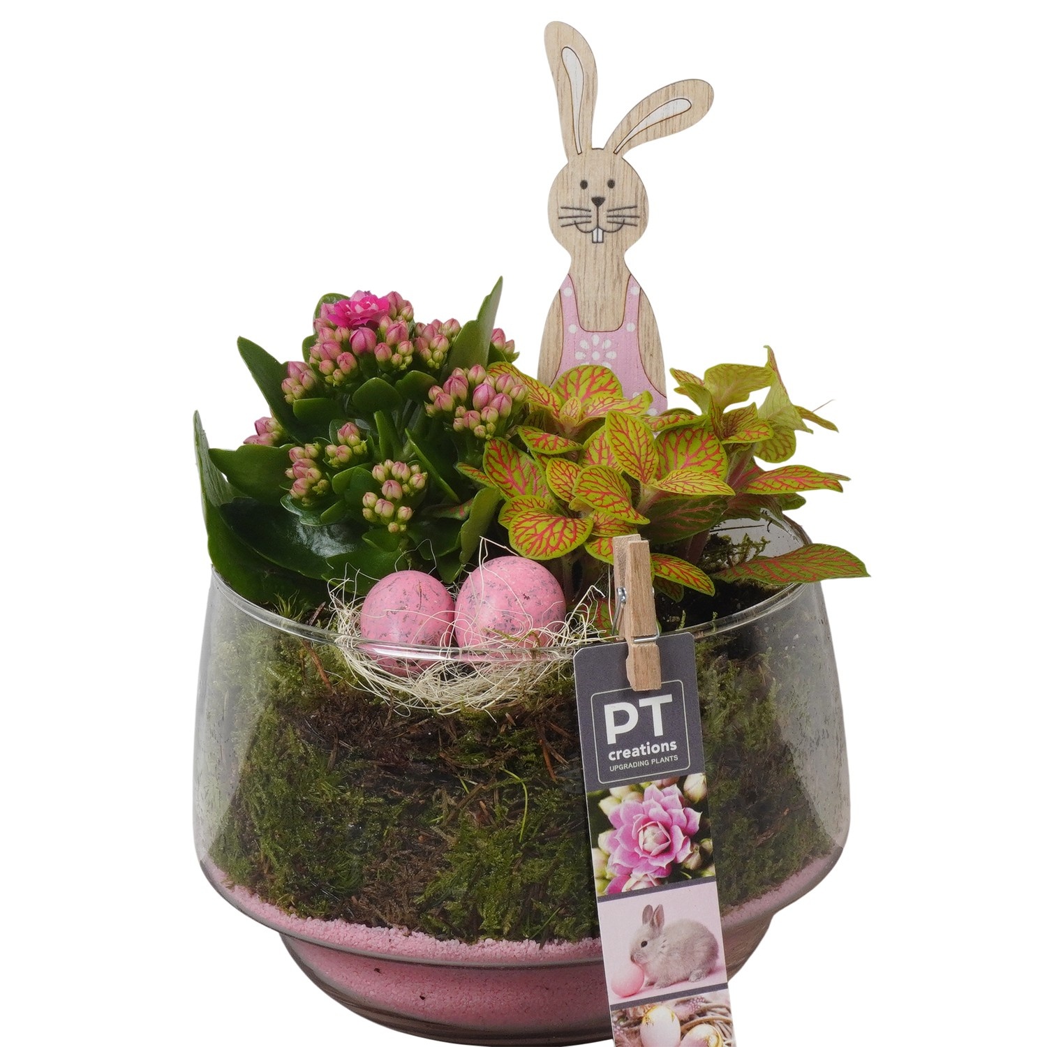 PTPG9382 Arrangement Easter in glas vaas, D 17