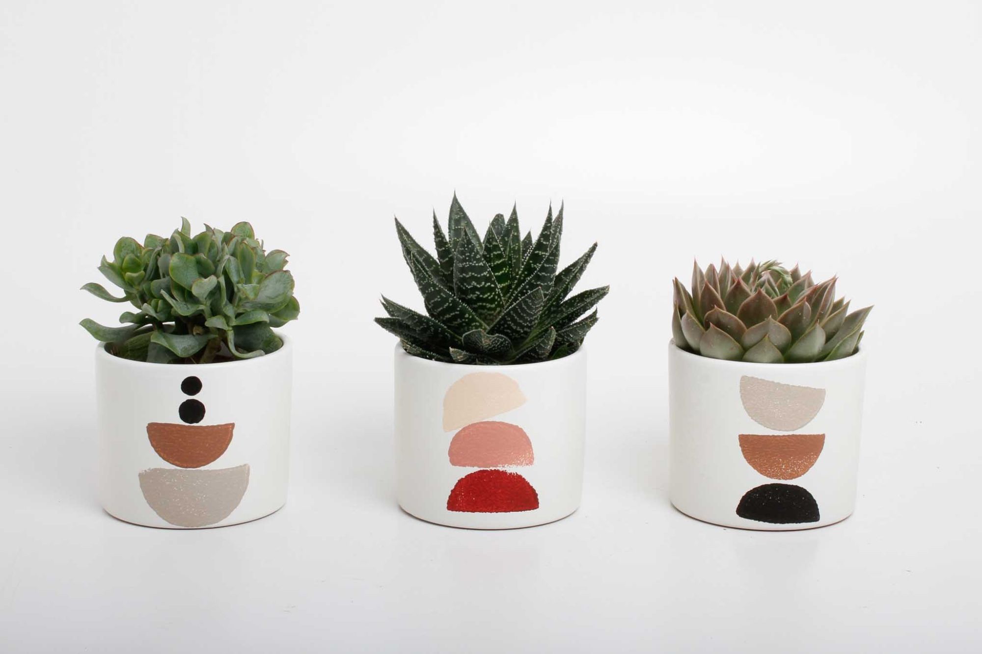 succulenten mix in Maan keramiek, D 10,5