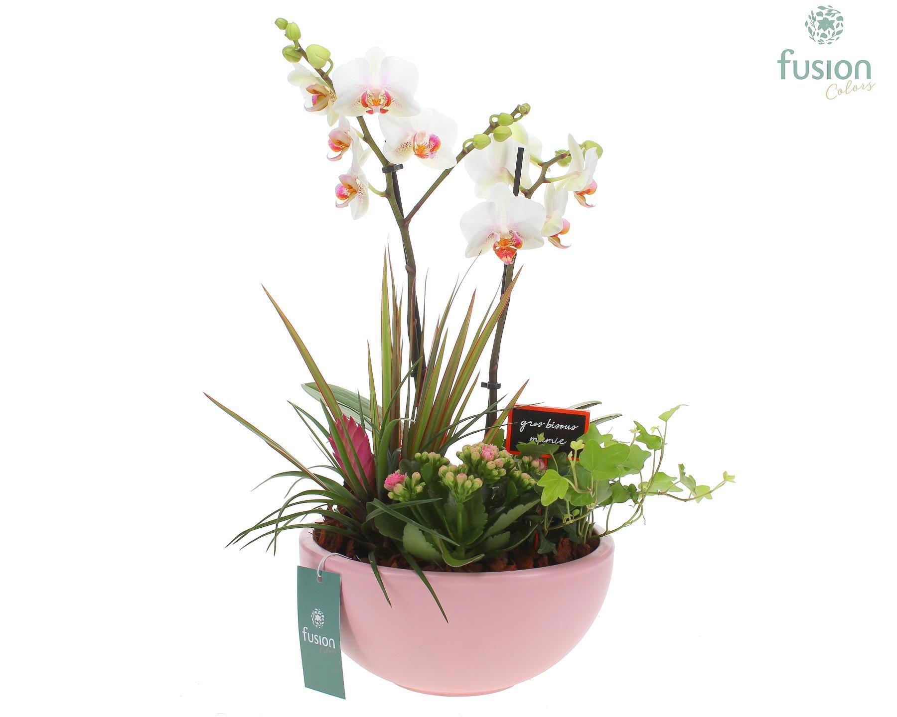 Moonschaal Love soft pink Large FC22.0703, D 23