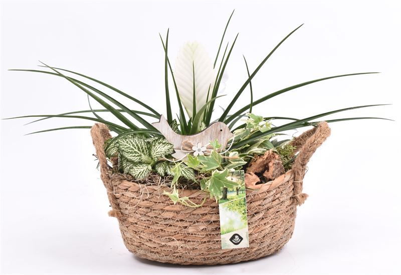 Jutemand ovaal met oor 22x15cm, D 22