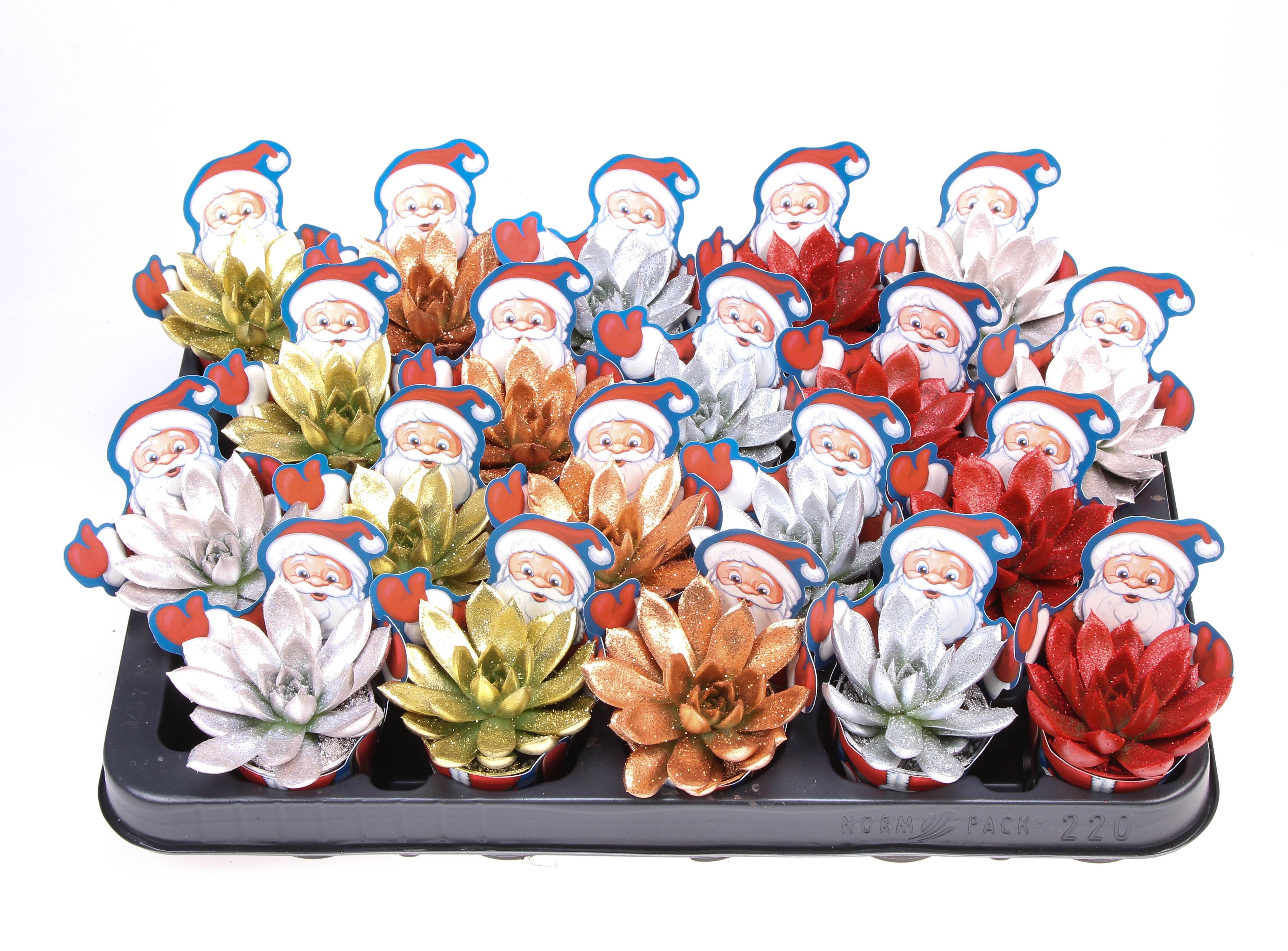 Potcover santaclaus glitter mix + bio glitter, D 5,5