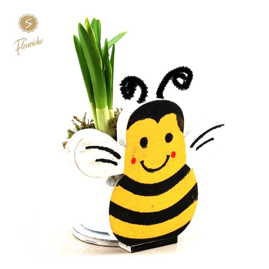 (DN517) Narcissus Bee Friendly Mos, D 15