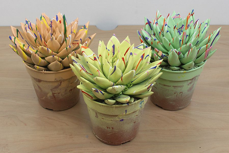 Miranda coloured Splash Easter mix, D 12