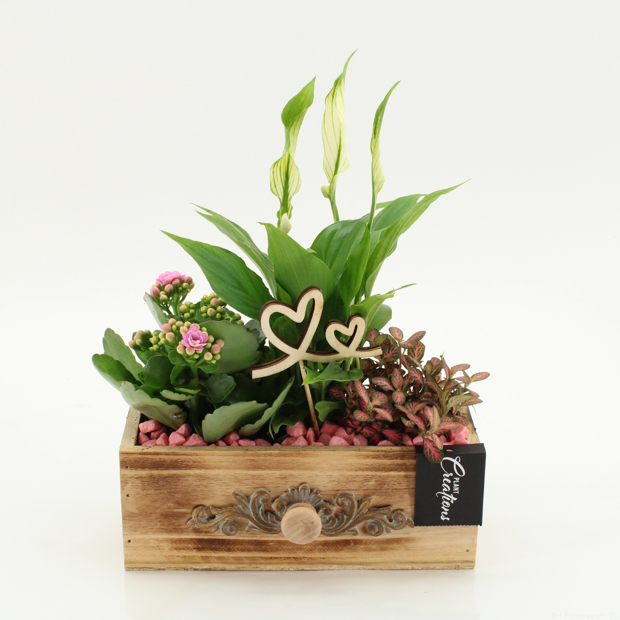 ENMD-2620 English Mother's day, D 21