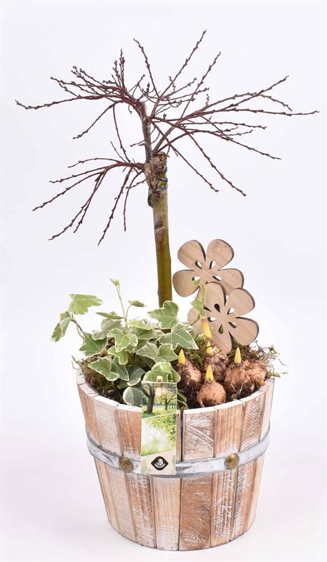 Hout emmer 18cm, D 18