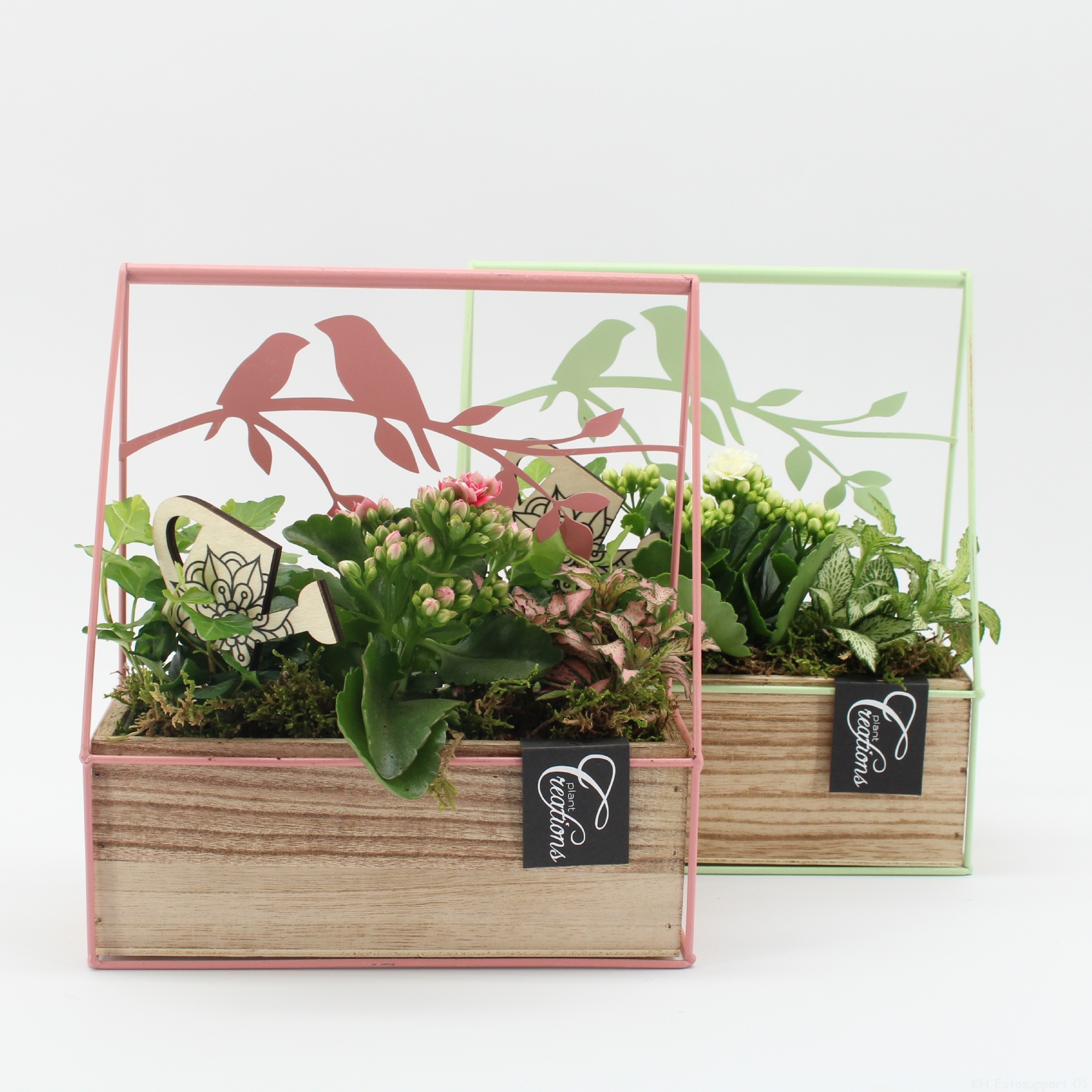 ESCR-2607M Essentials, D 23