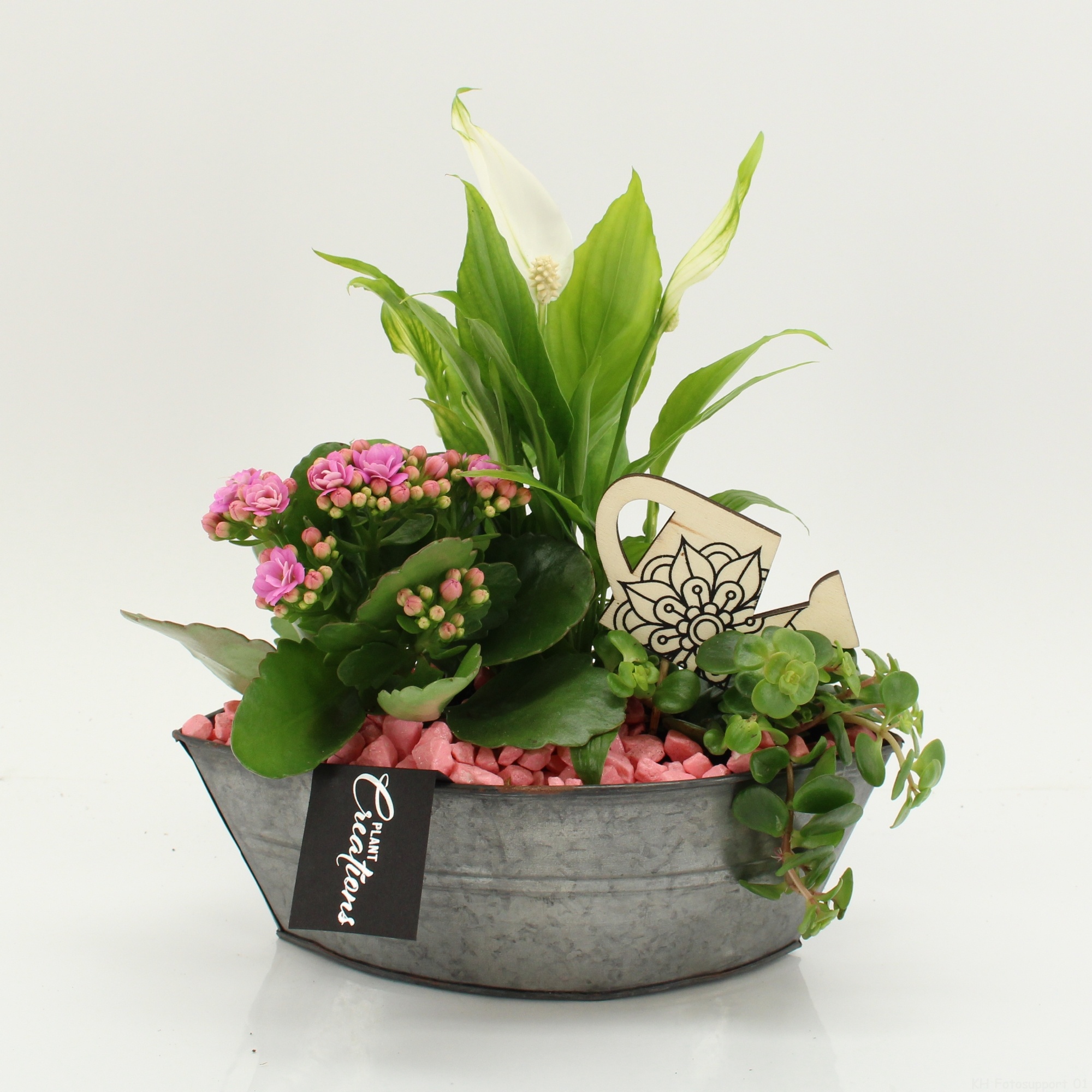 FDCR-2614RZ Basic Fundamentals, D 22