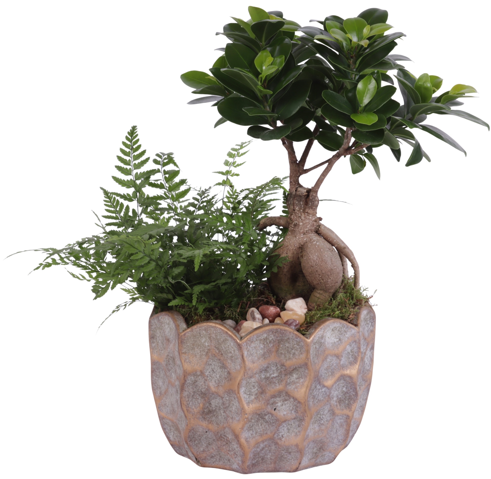 Yearround Arr. Indoor Ceramic Pure Luxury PL670 Ø18cm 2PP, D 18