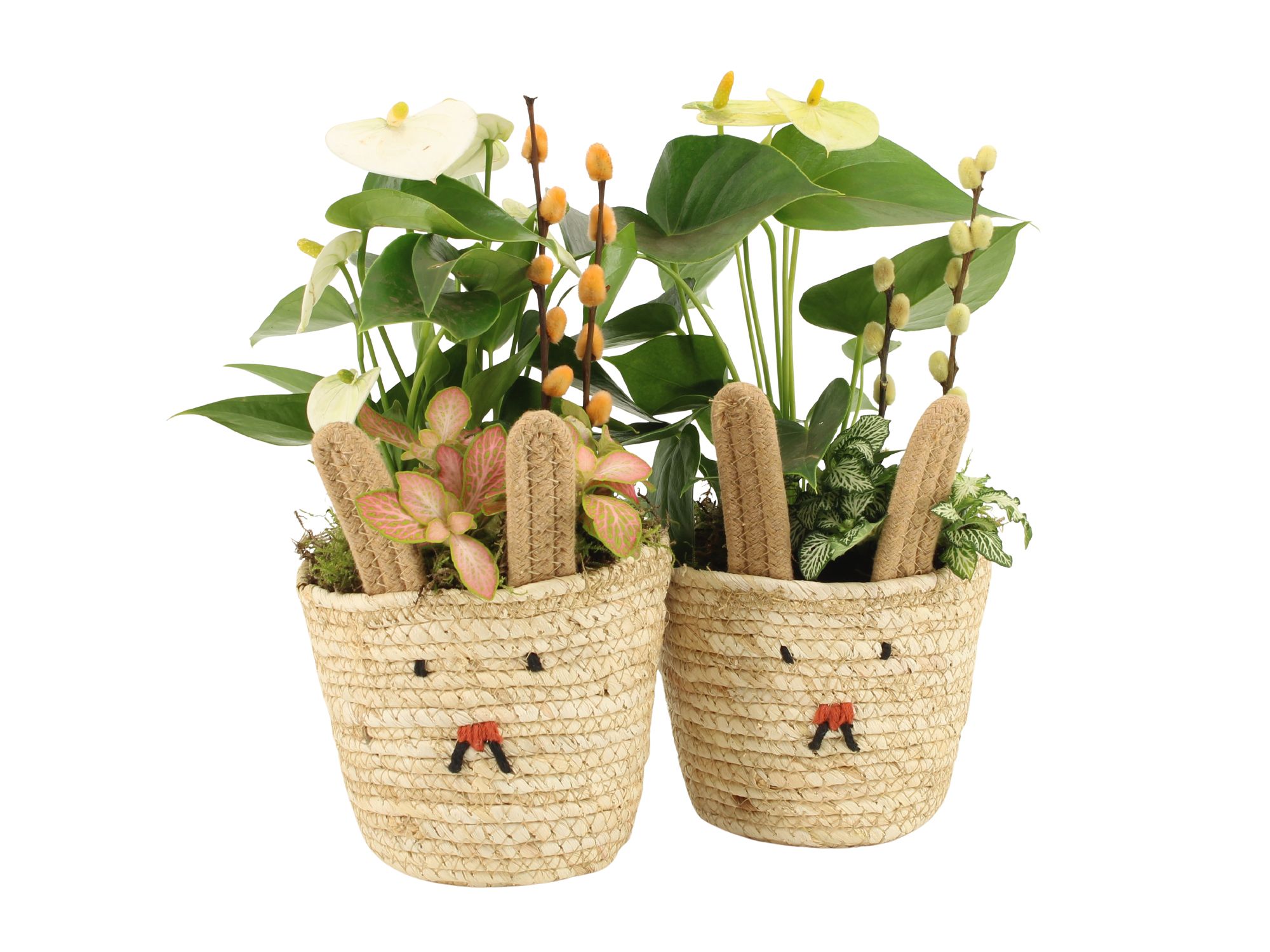 70872: Easter arrangement, D 14