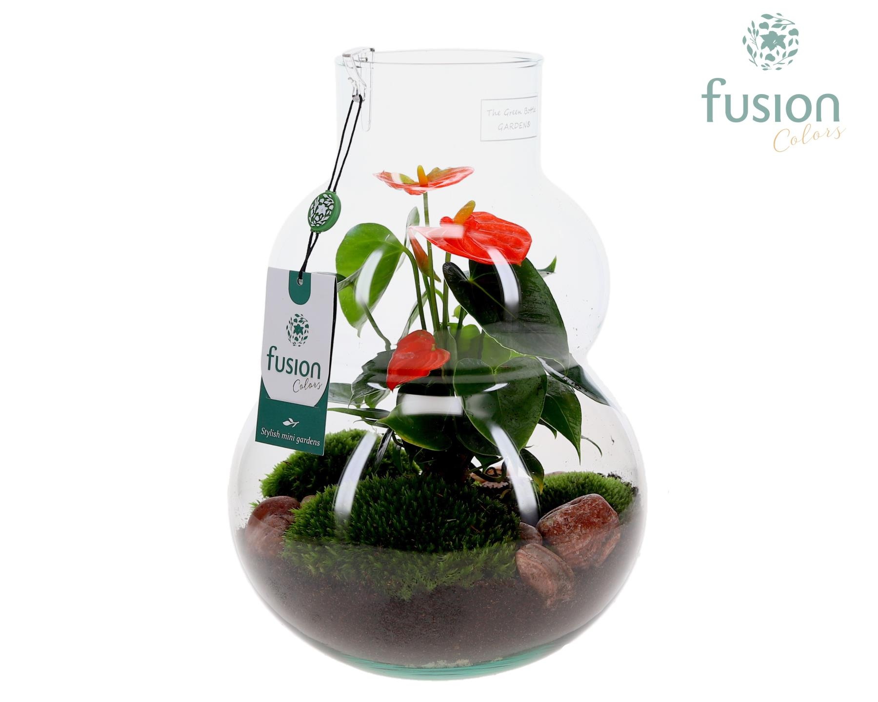 Green Bottle Olaf Medium met Anthurium, D 21