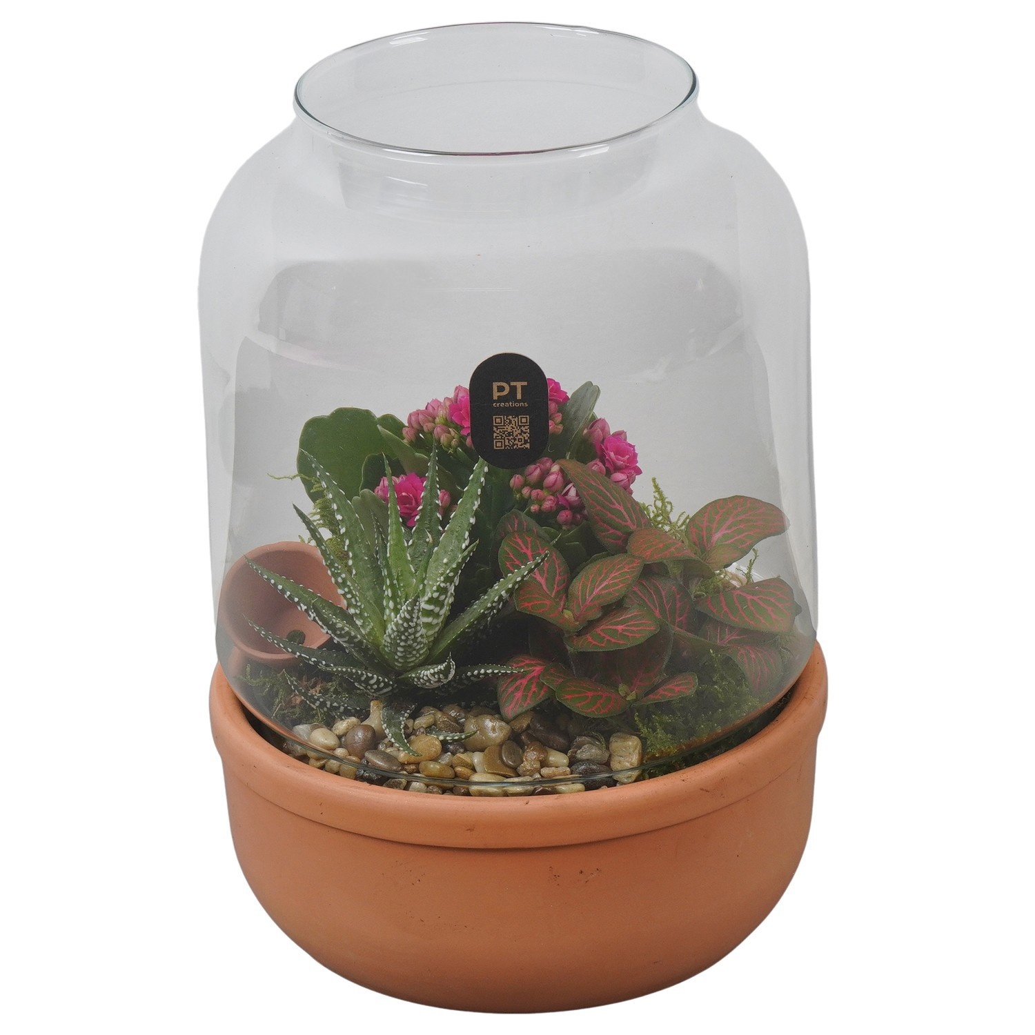 PTIG2646 Arrangement Indoor in glazen vaas, D 17