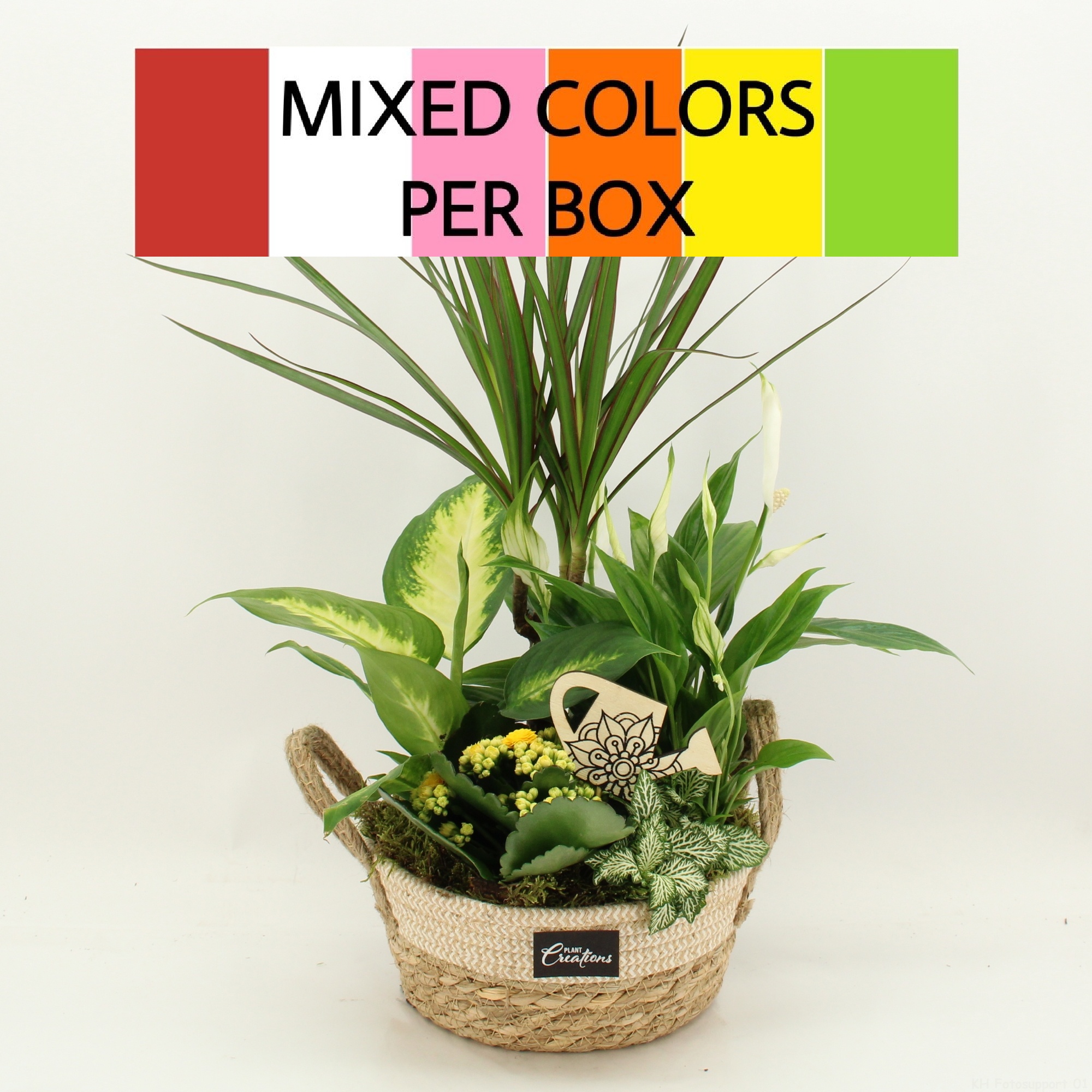 FDCR-2619M Basic Fundamentals, D 21