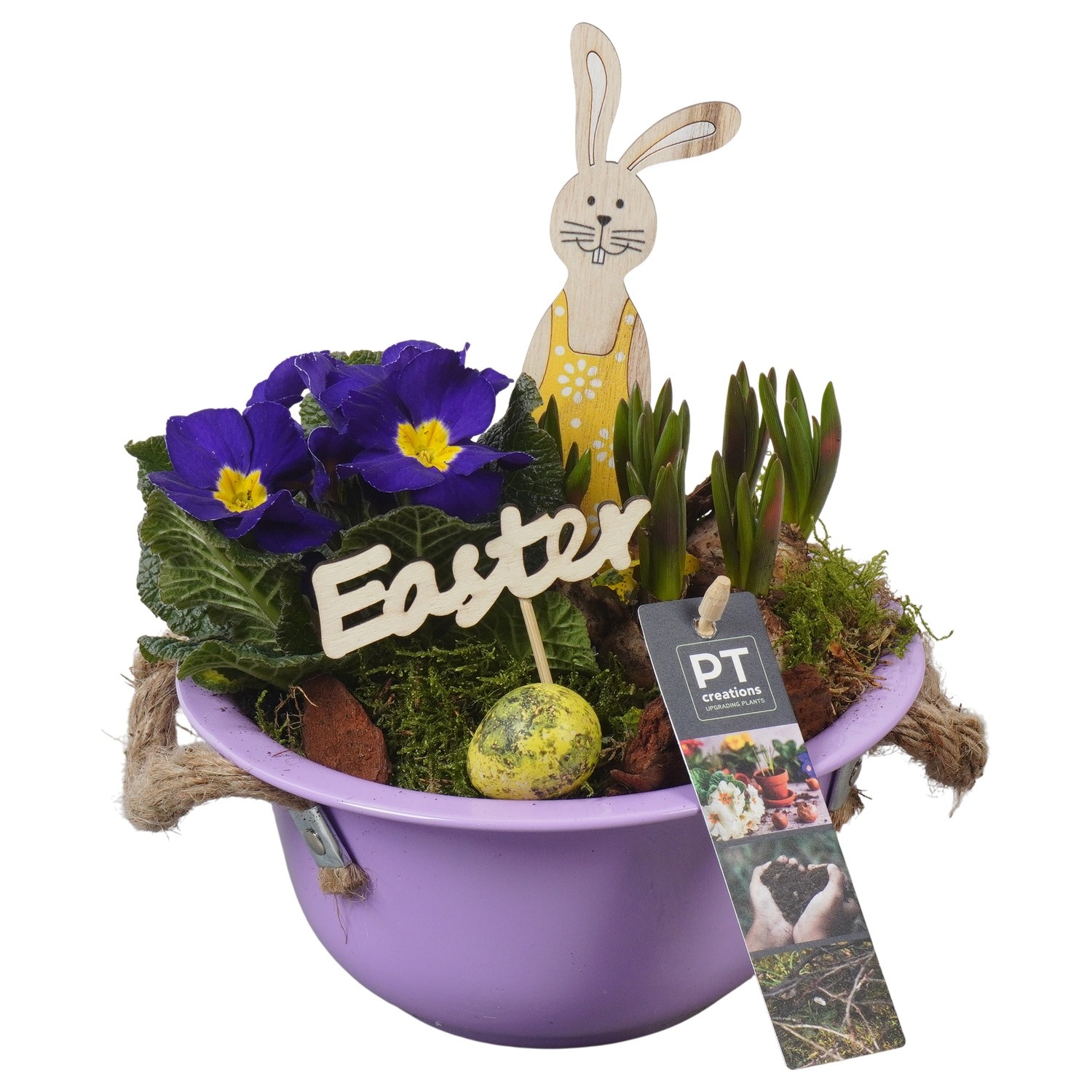 PTBMP5613 Arrangement Easter Bulbs Mix in zink schaal, D 18