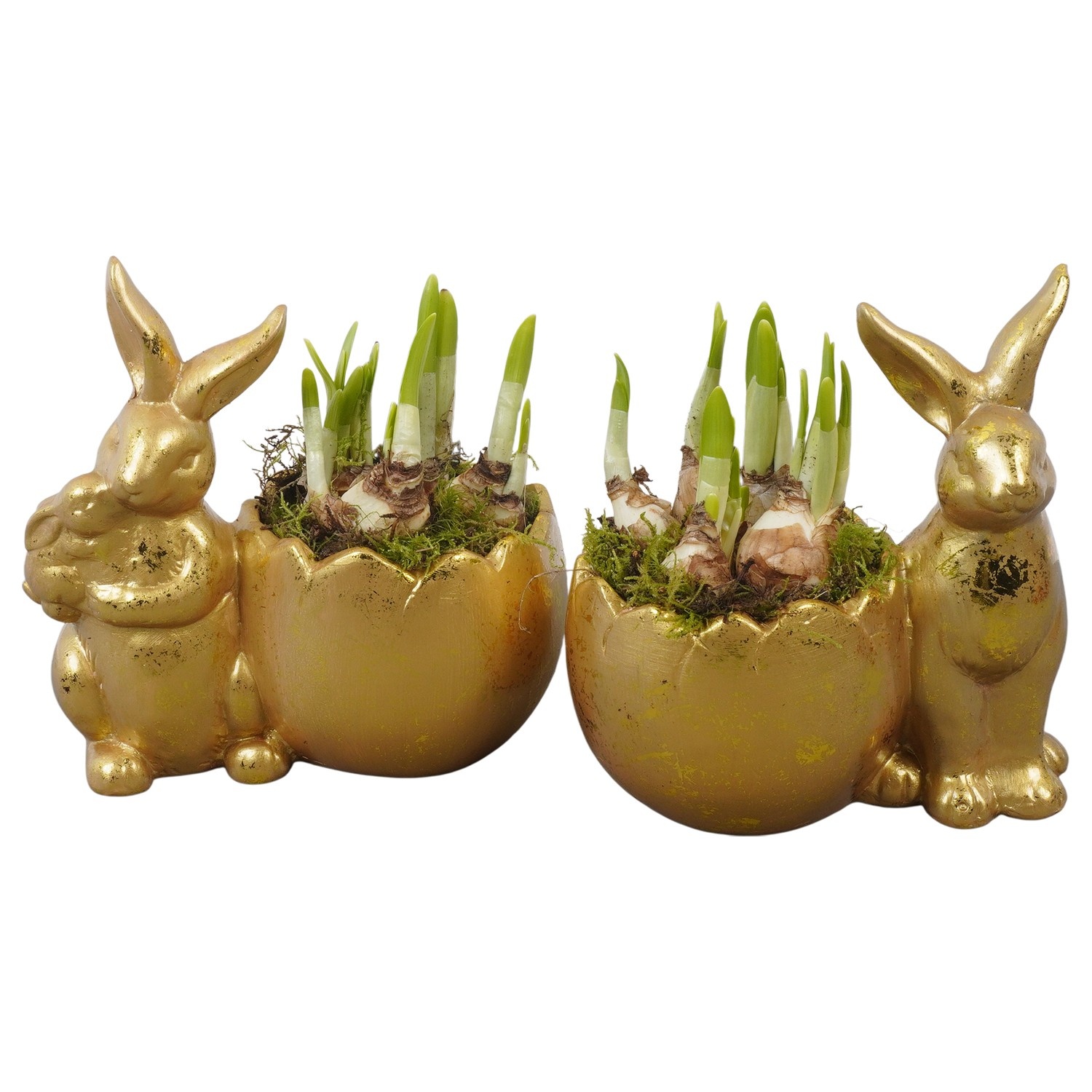 PTNP4508 Arrangement Narcissus Easter in keramiek pot, D 18