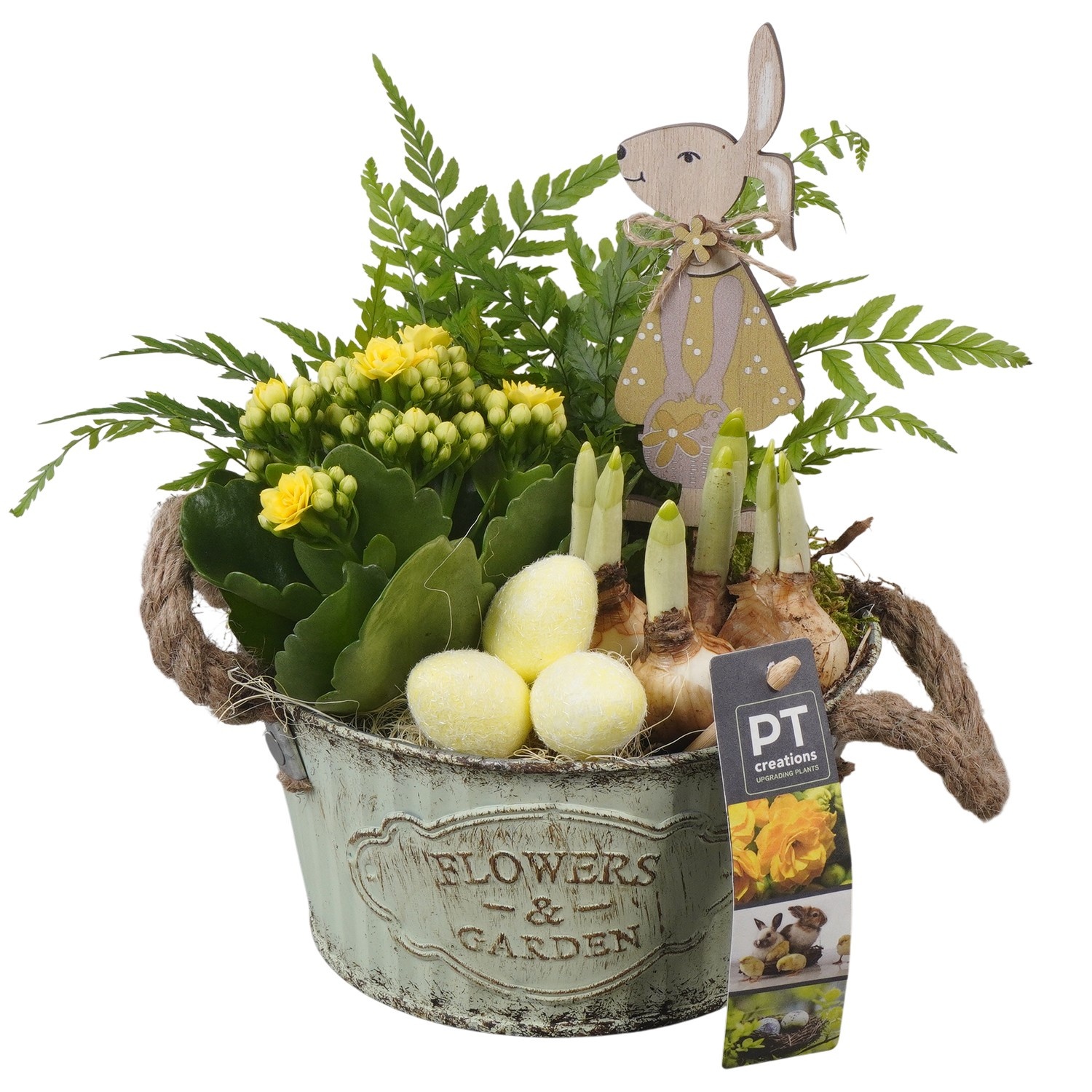 PTPB6450 Arrangement Easter in zink pot, D 16