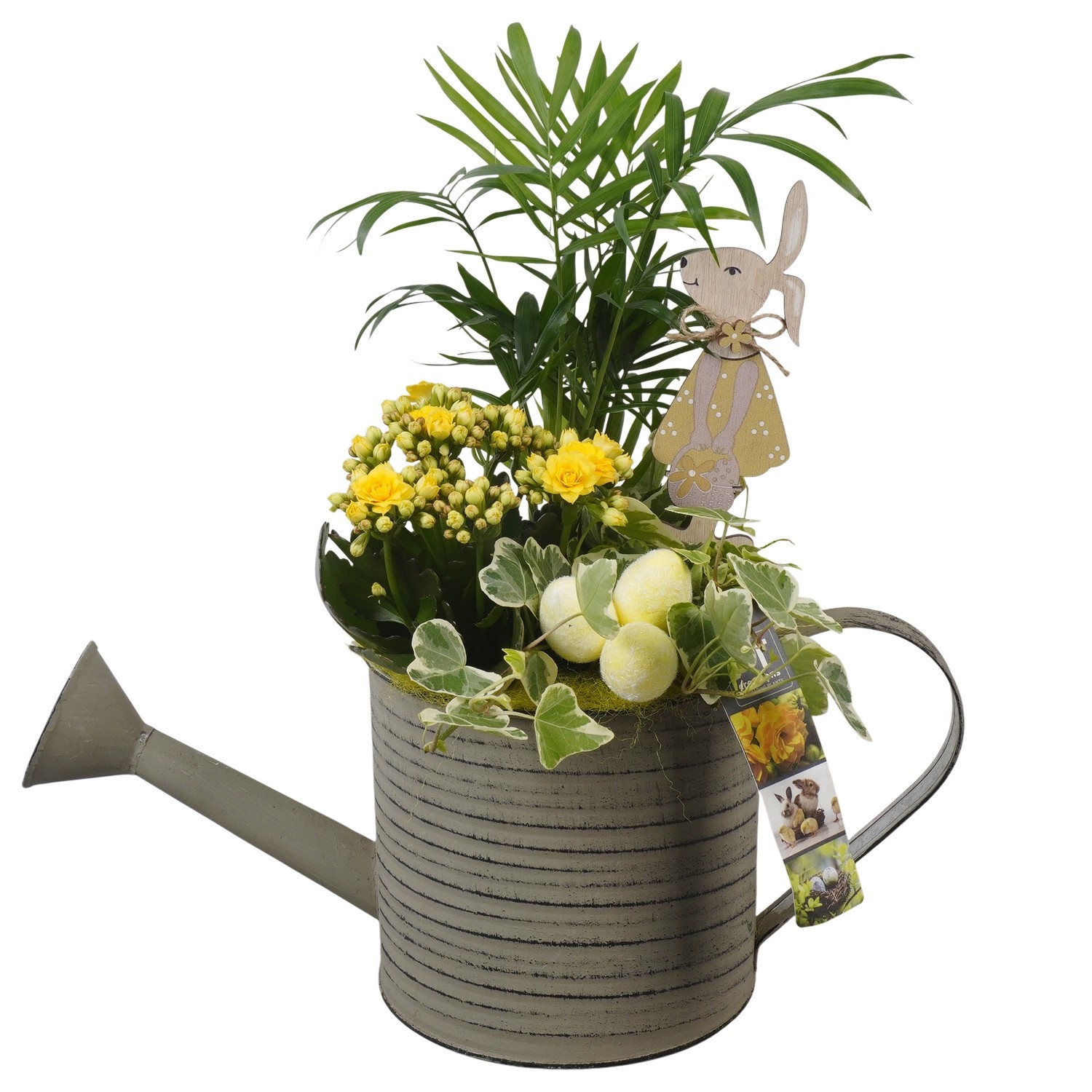 PTPB6433 Arrangement Easter in zink gieter, D 14