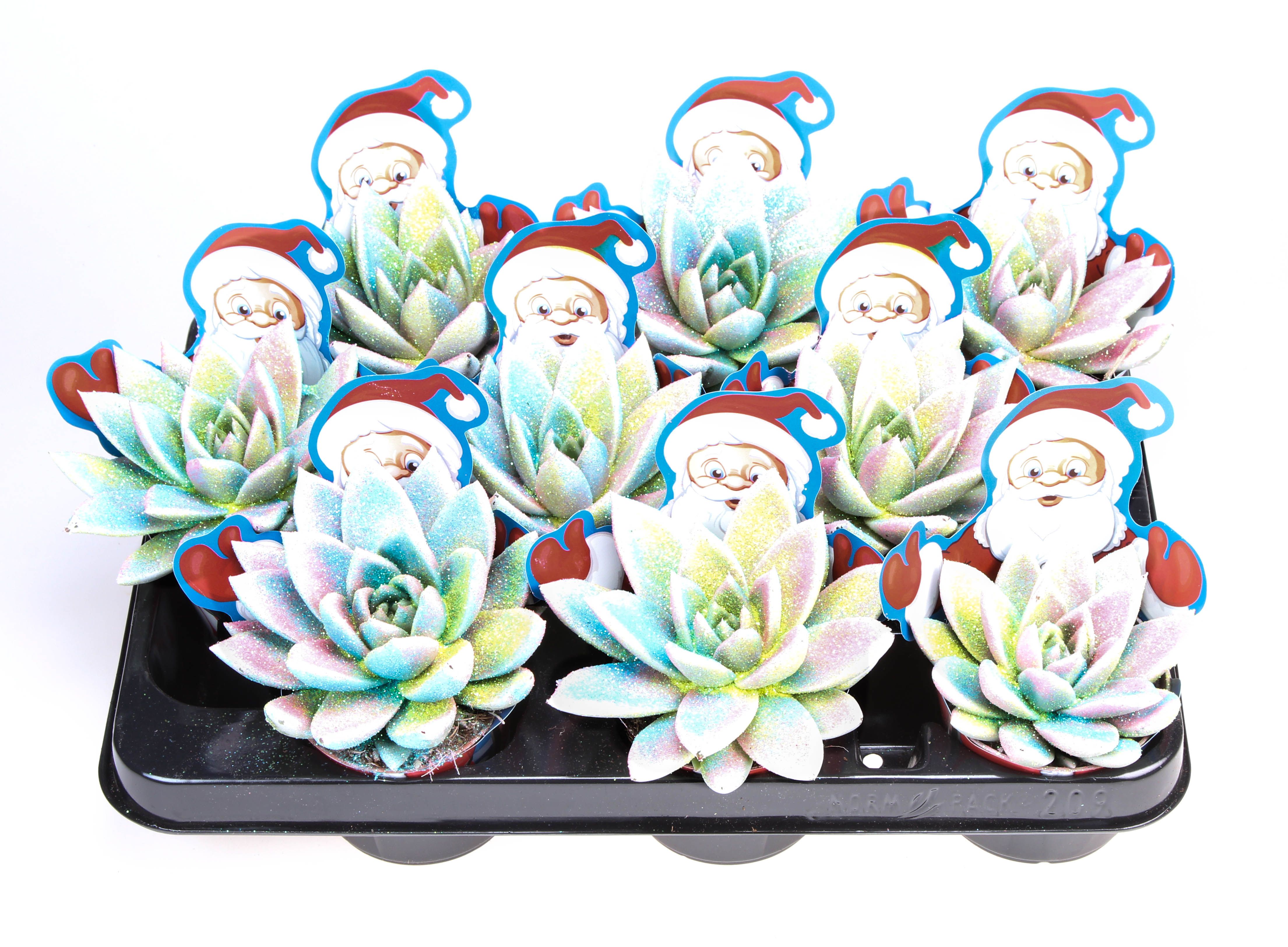 Potcover santaclaus multiglitter mix, D 8,5