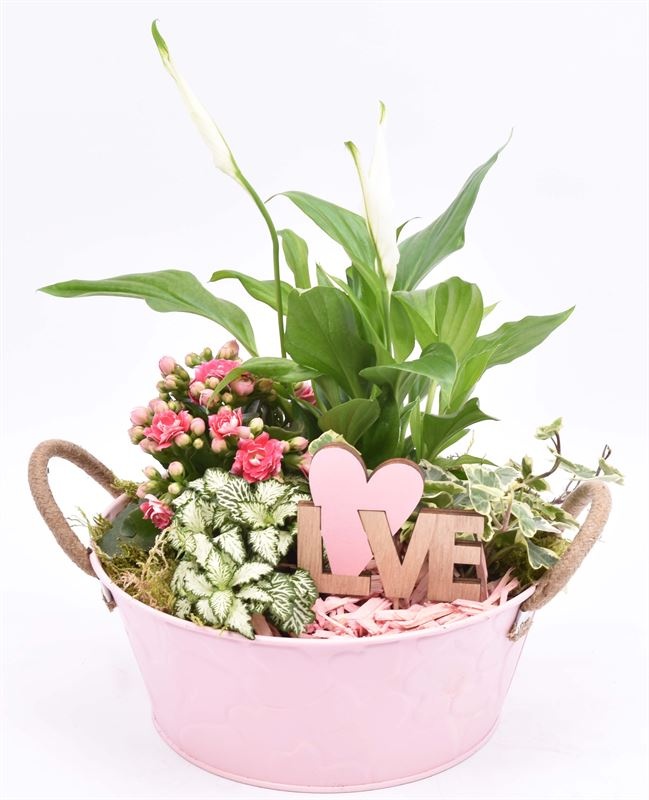 Zink schaal roze hart 25cm, D 25