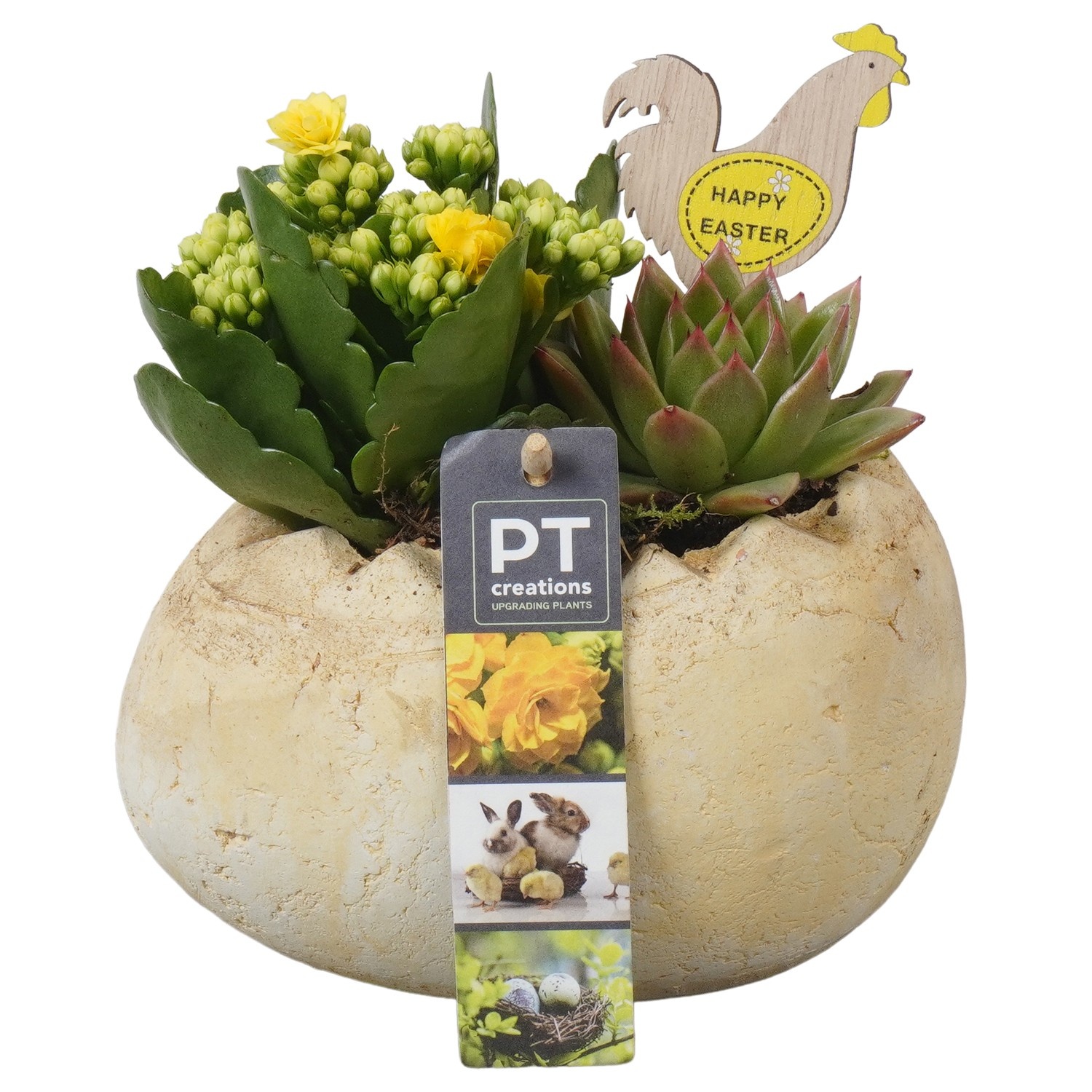 PTPB6599 Arrangement Easter in terracotta ei, D 16