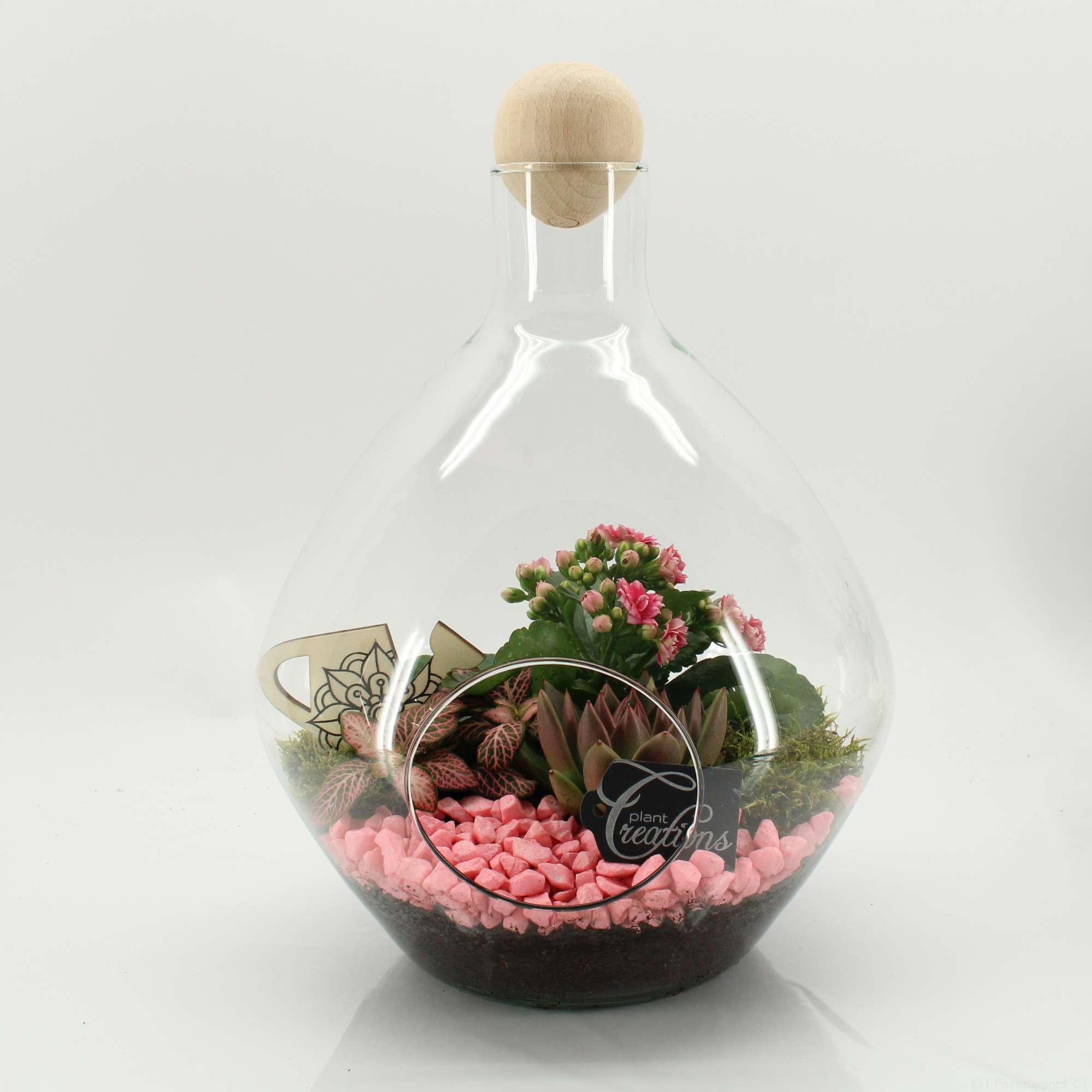 ESCR-2635RZ Essentials terrarium, D 26