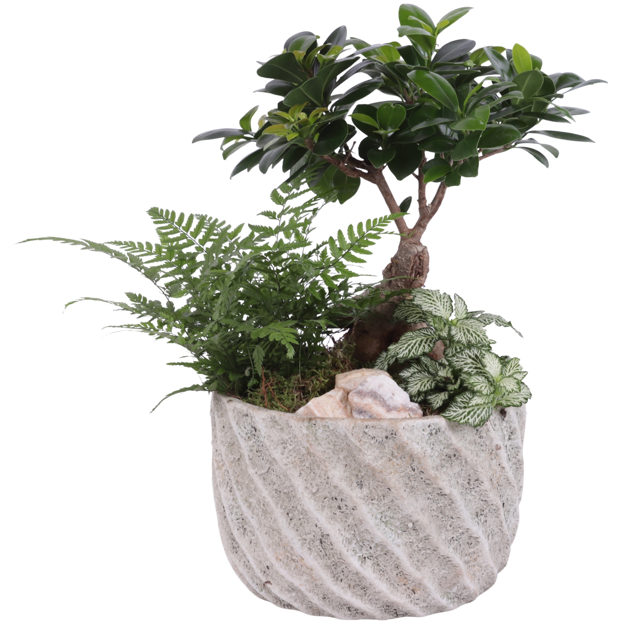 Yearround Arr. Indoor Ceramic Natural Touch NT668 Ø20cm 3PP, D 20