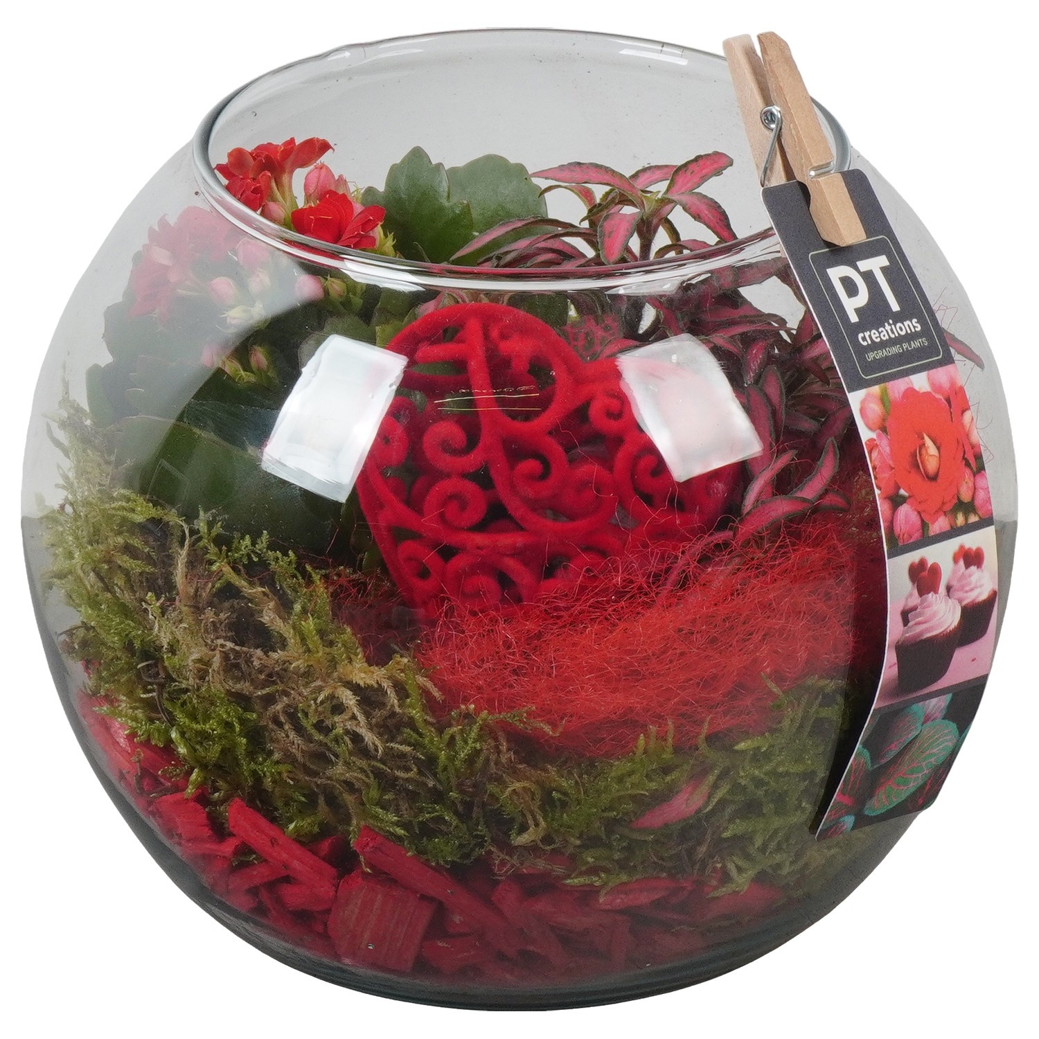 PTVMG4985 Arrangement Valentines-Mothersday in glas bol, D 16